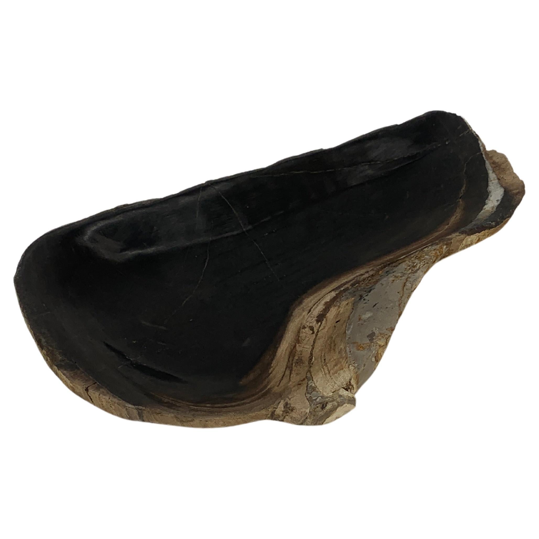 Petrified Wood Oyster Shape Solid Black Elongated Bowl Dish Large Plate Ashtray For Sale