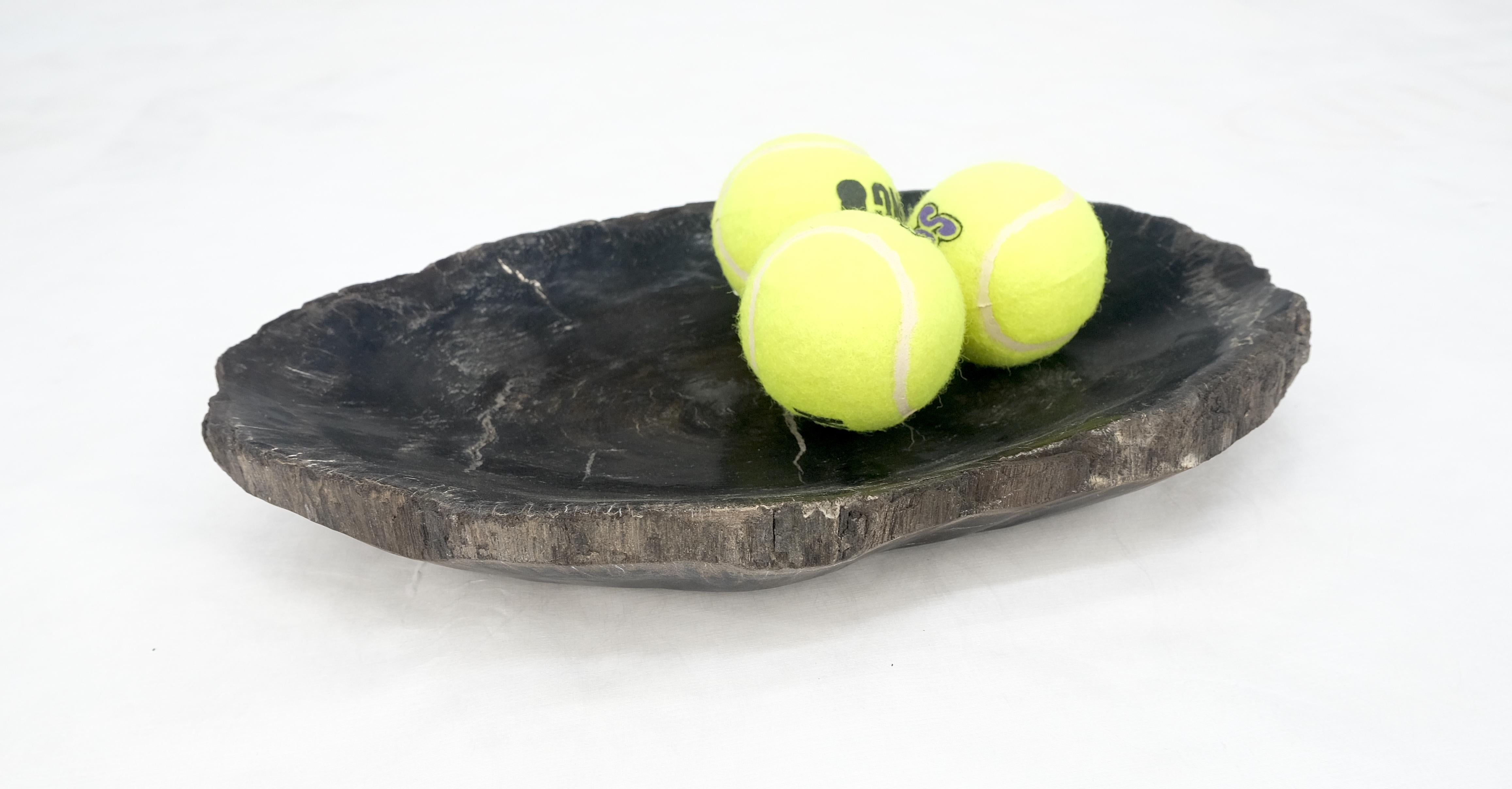 Petrified Wood Oyster Shape Solid Black Elongated Oval Bowl Dish Large Plate Ashtray