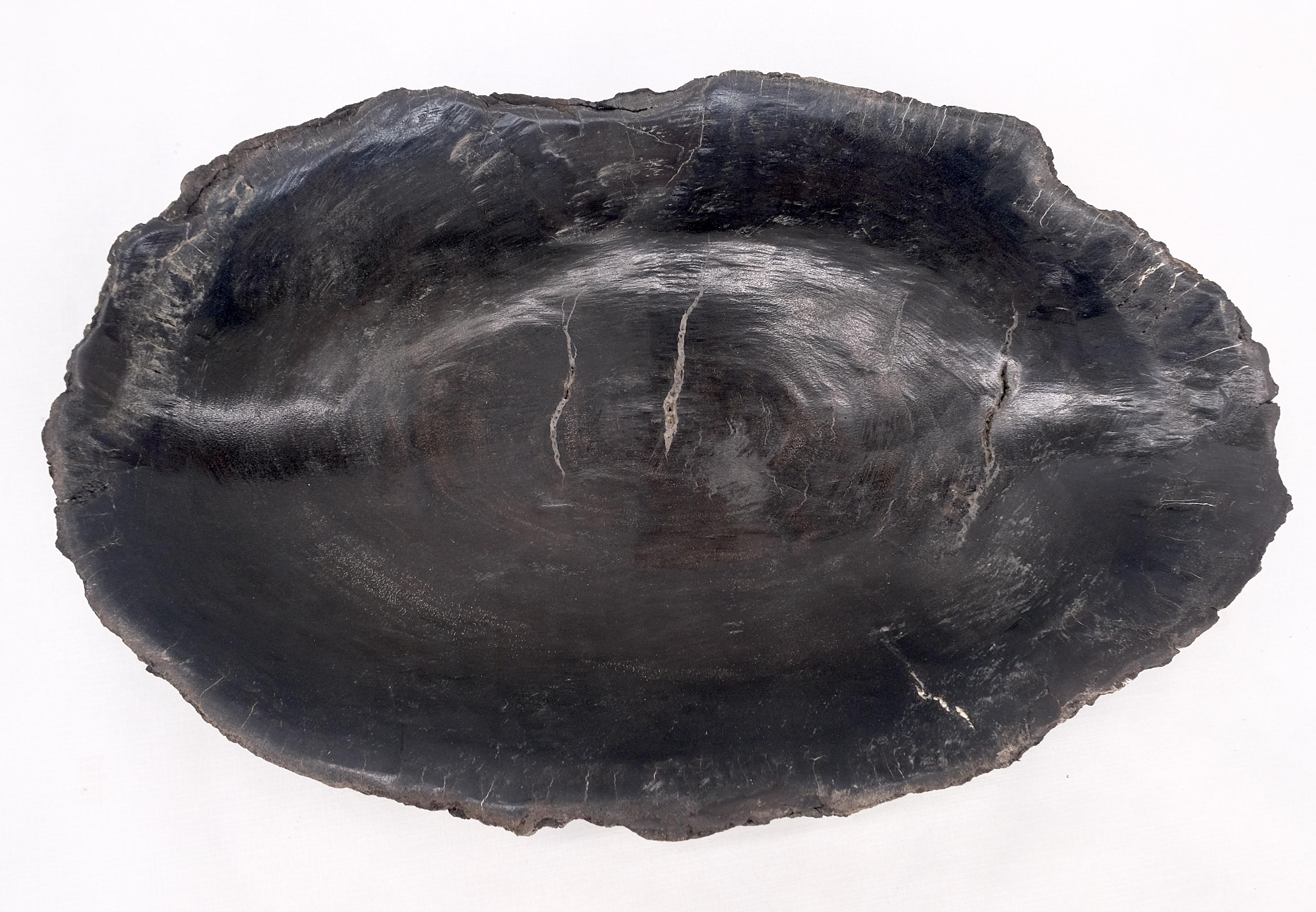 Mid-Century Modern Petrified Wood Oyster Shape Solid Black Oval Bowl Dish Large Plate Ashtray For Sale