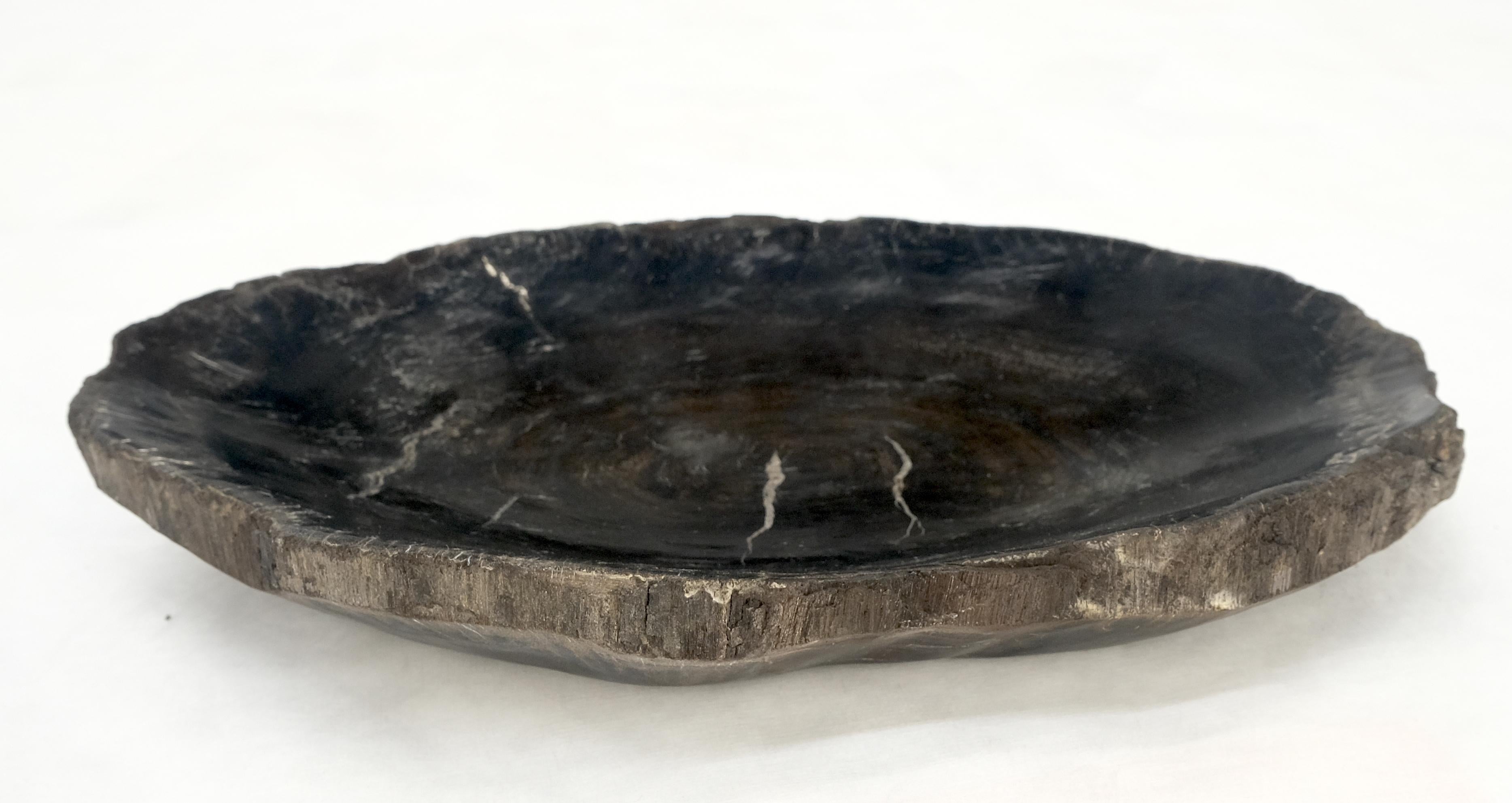 Indonesian Petrified Wood Oyster Shape Solid Black Oval Bowl Dish Large Plate Ashtray For Sale