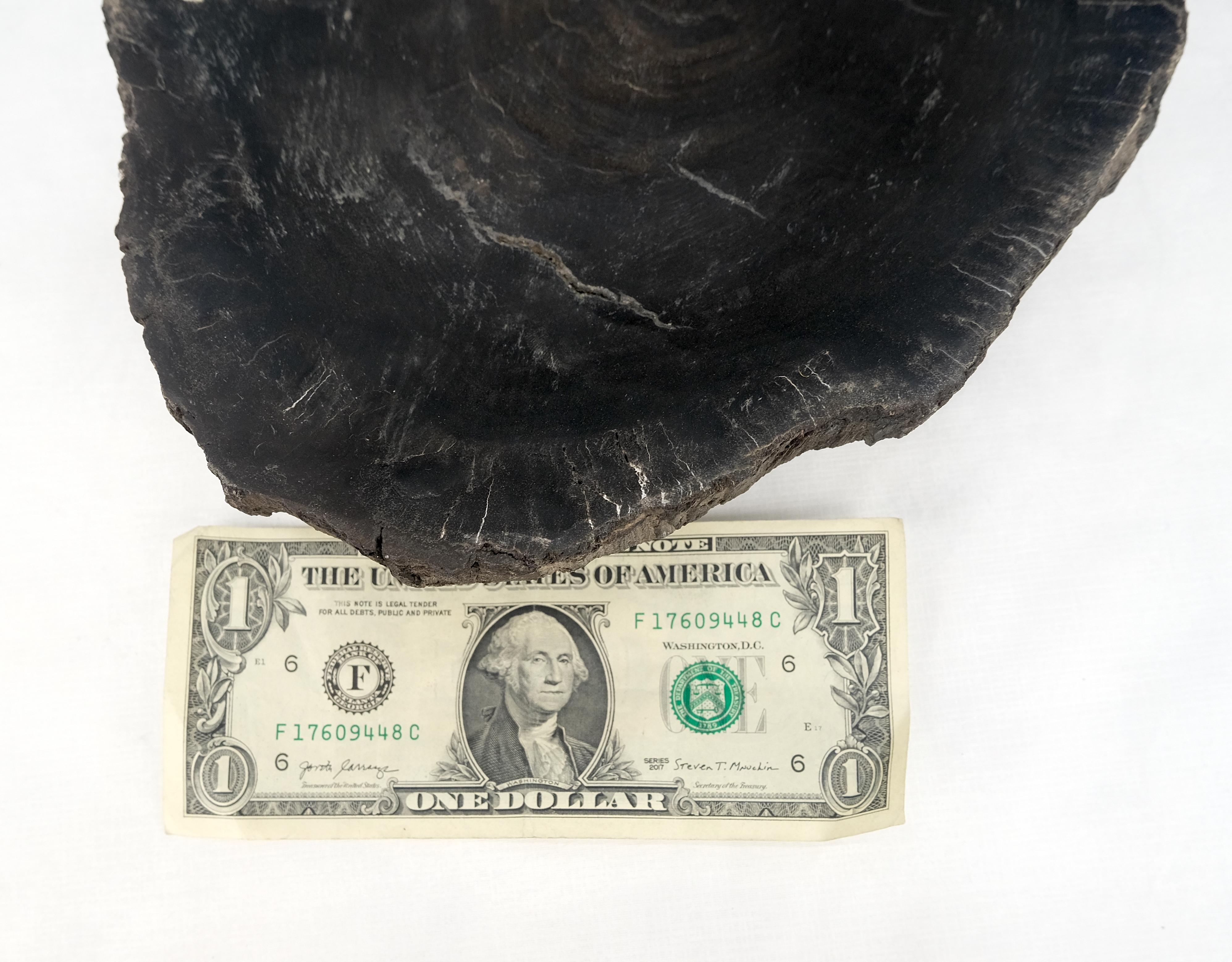 20ième siècle Wood Oyster Shape Solid Black Oval Bowl Dish Large Plate Ashtray en vente