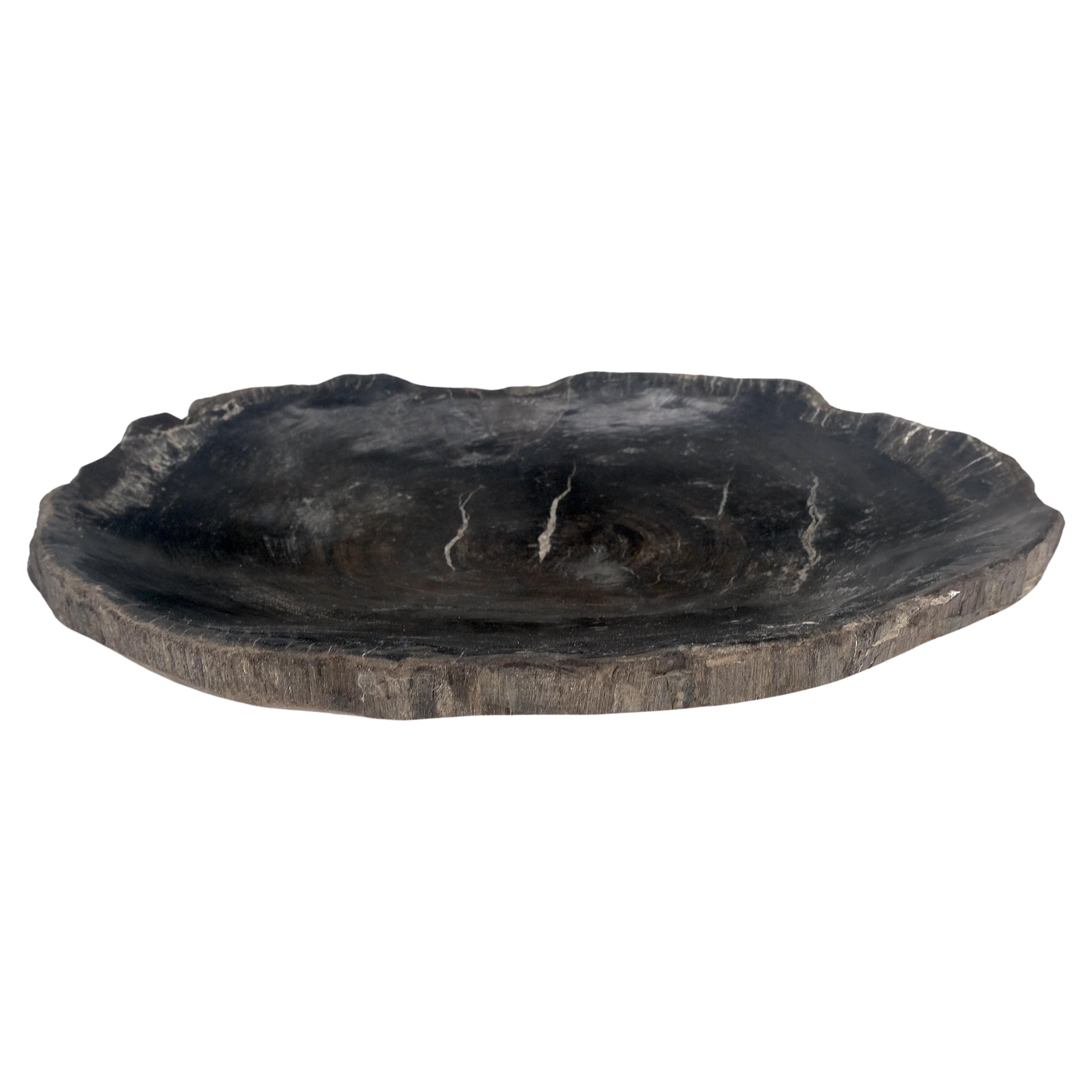 Petrified Wood Oyster Shape Solid Black Oval Bowl Dish Large Plate Ashtray For Sale