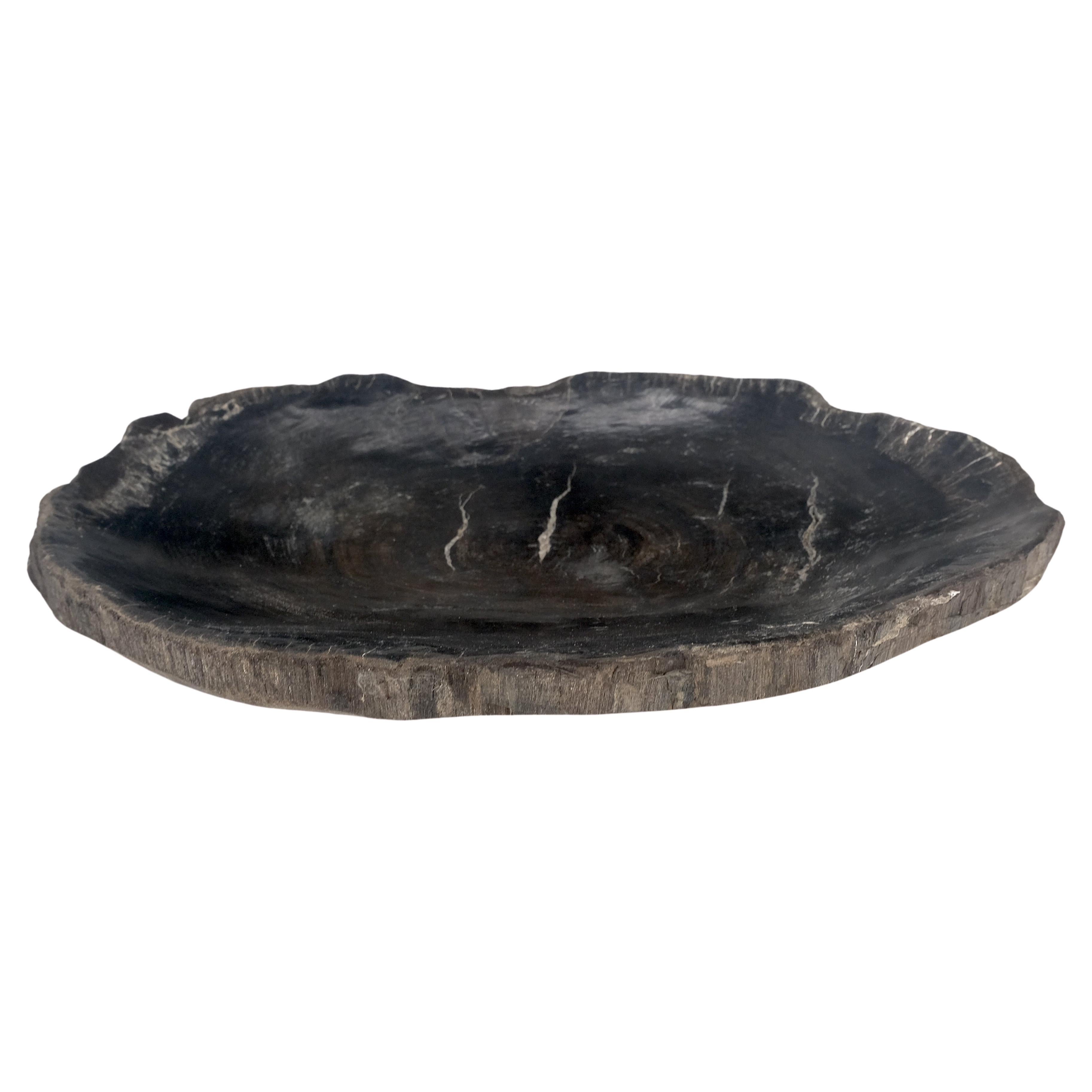 Petrified Wood Oyster Shape Solid Black Oval Bowl Dish Large Plate Ashtray