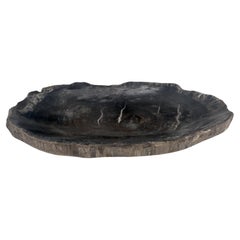 Vintage Petrified Wood Oyster Shape Solid Black Oval Bowl Dish Large Plate Ashtray