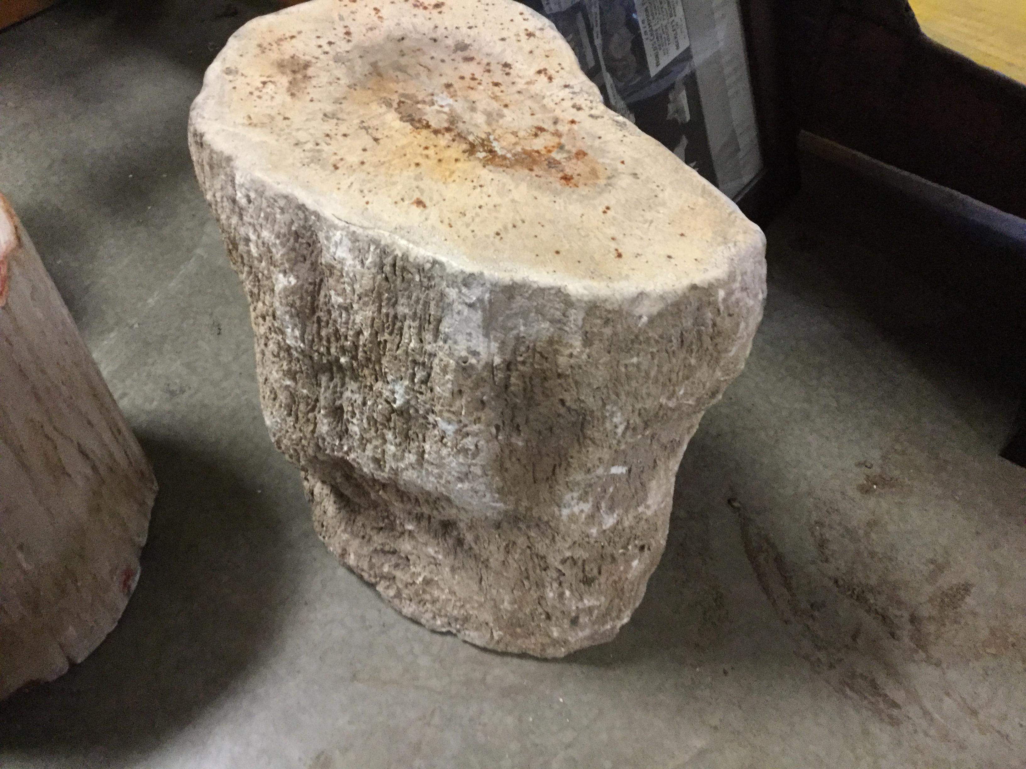 Tall petrified wood pedestal. Top is polished and sides remain rough.