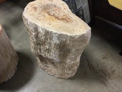 Petrified Wood Pedestal