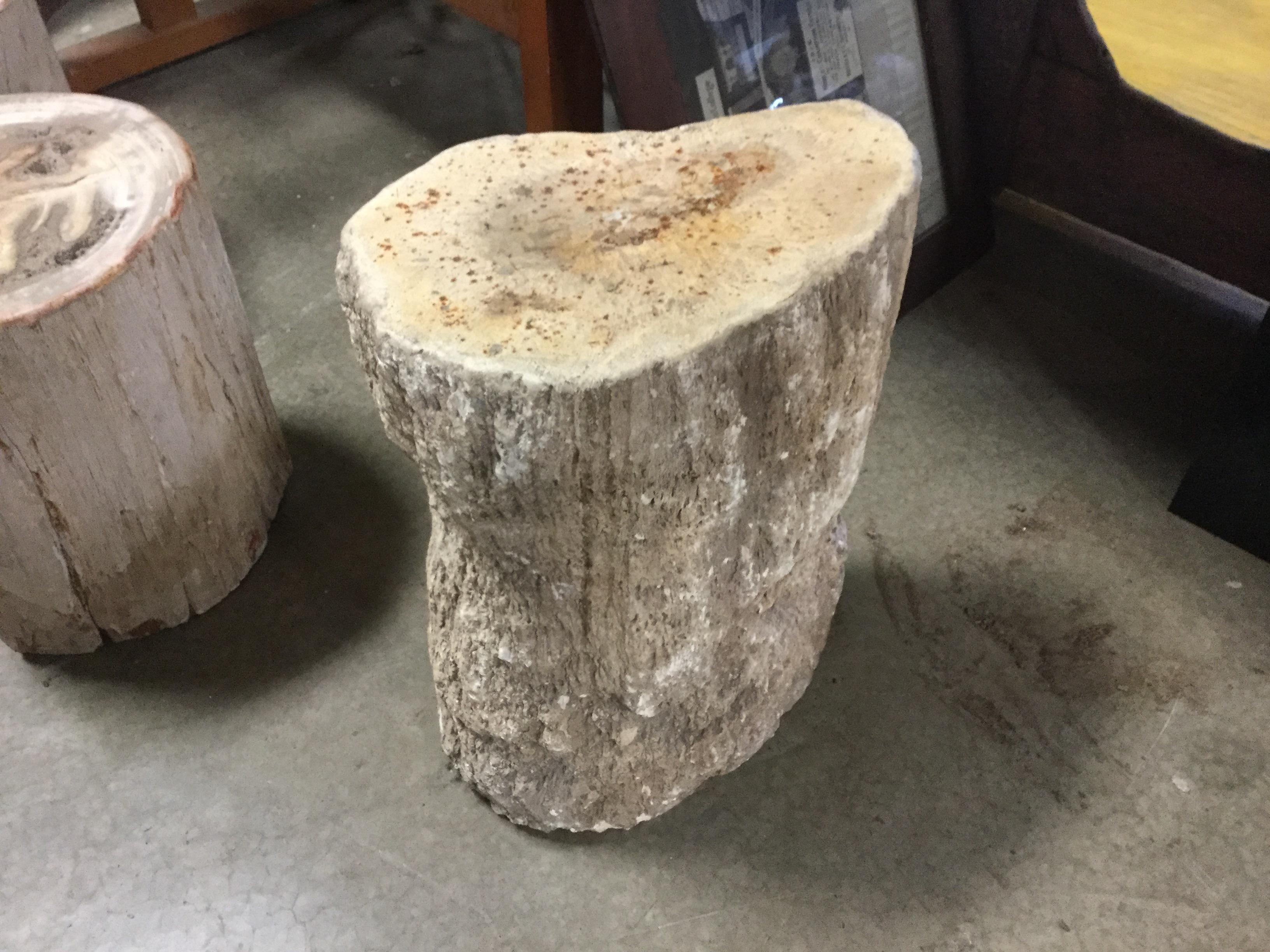 Petrified Wood Pedestal In Good Condition For Sale In North Beninngton, VT