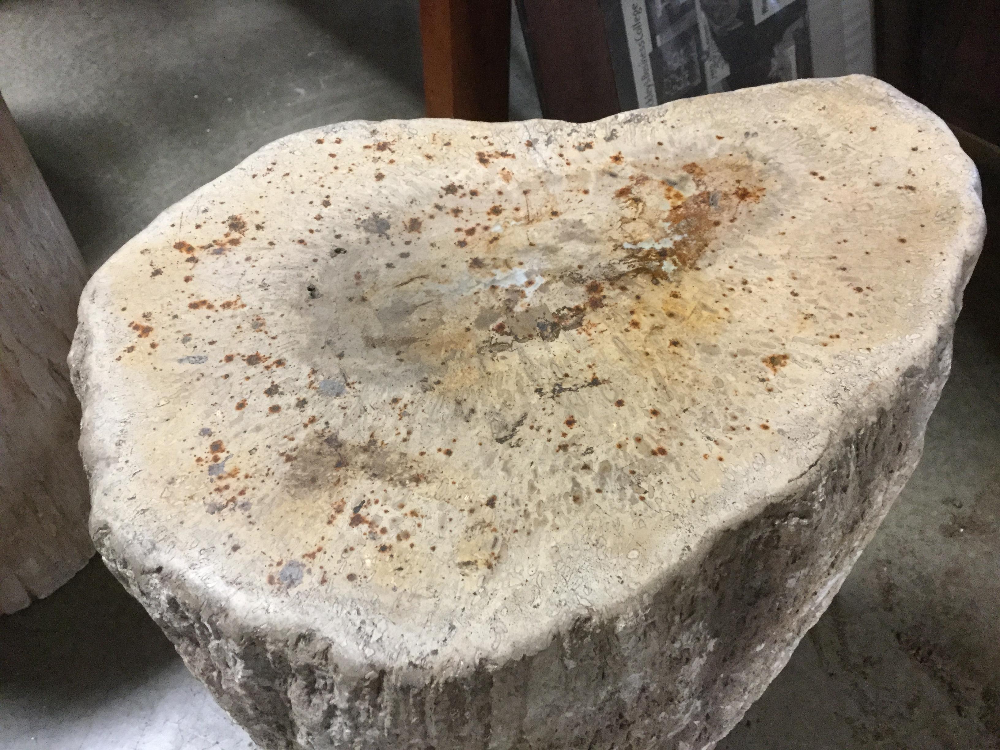 18th Century and Earlier Petrified Wood Pedestal For Sale