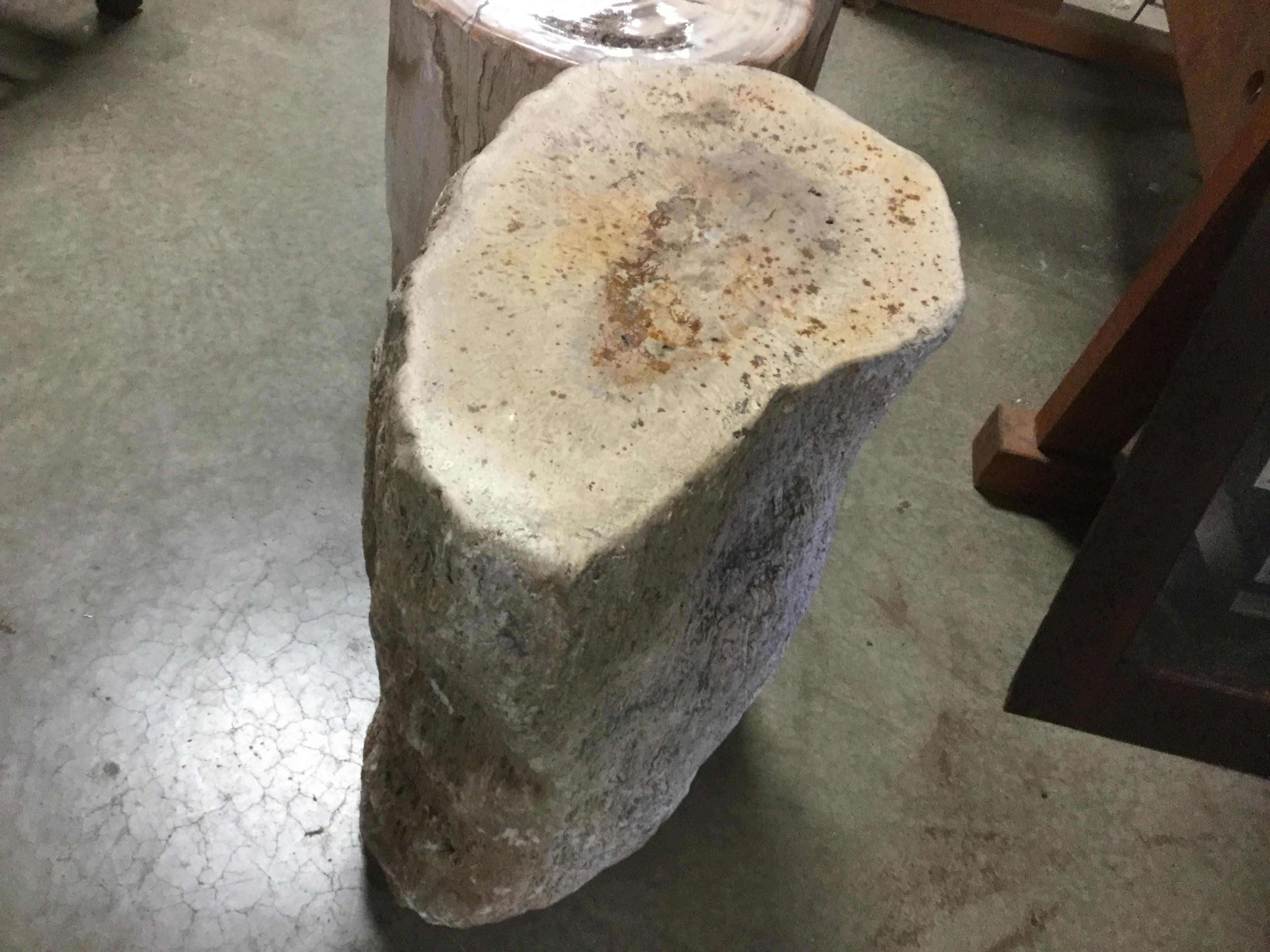 Petrified Wood Pedestal For Sale 2