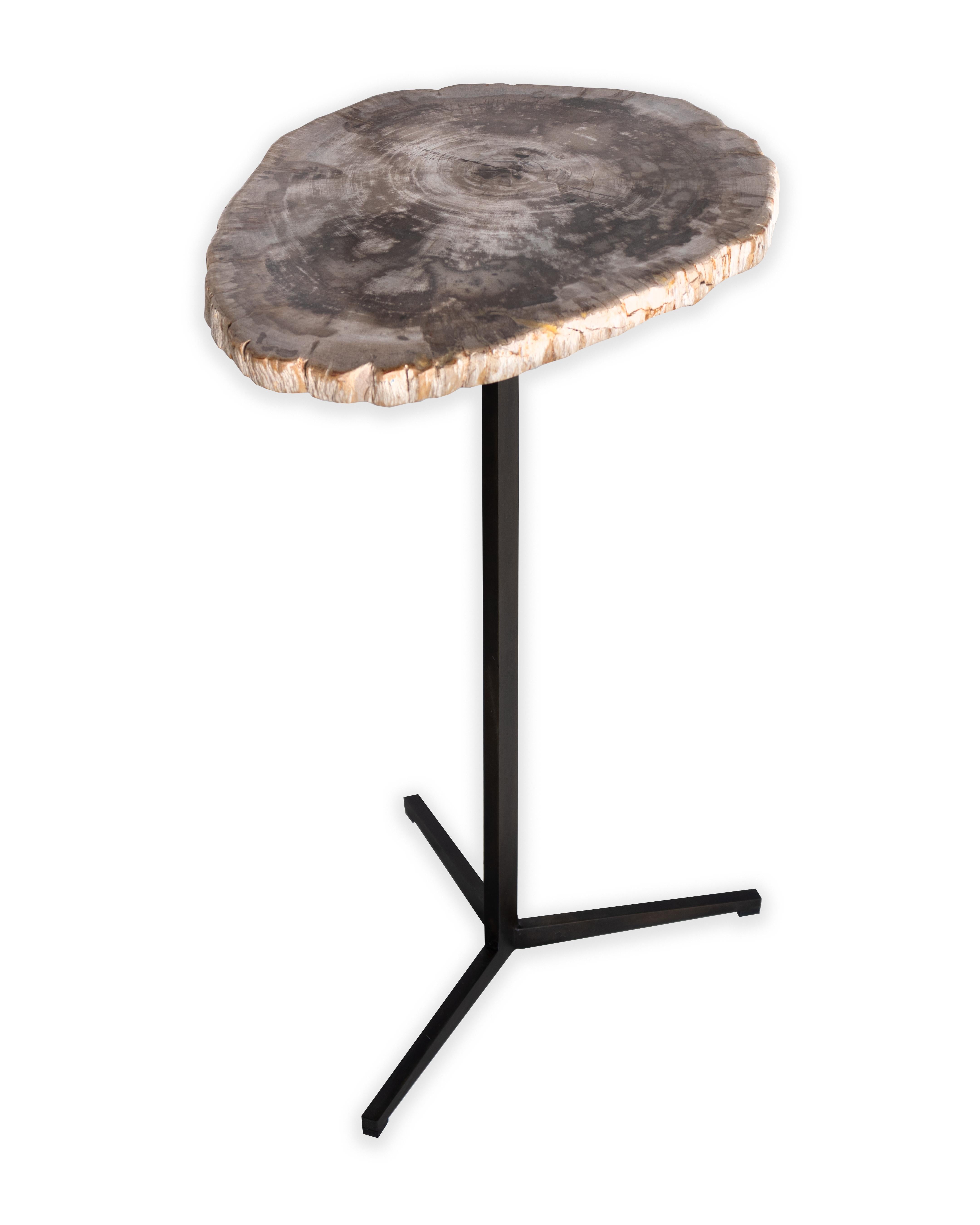 Petrified wood slab on Patinaed steel mount

Piece from our one of a kind collection, Le Monde. Exclusive to Brendan Bass.