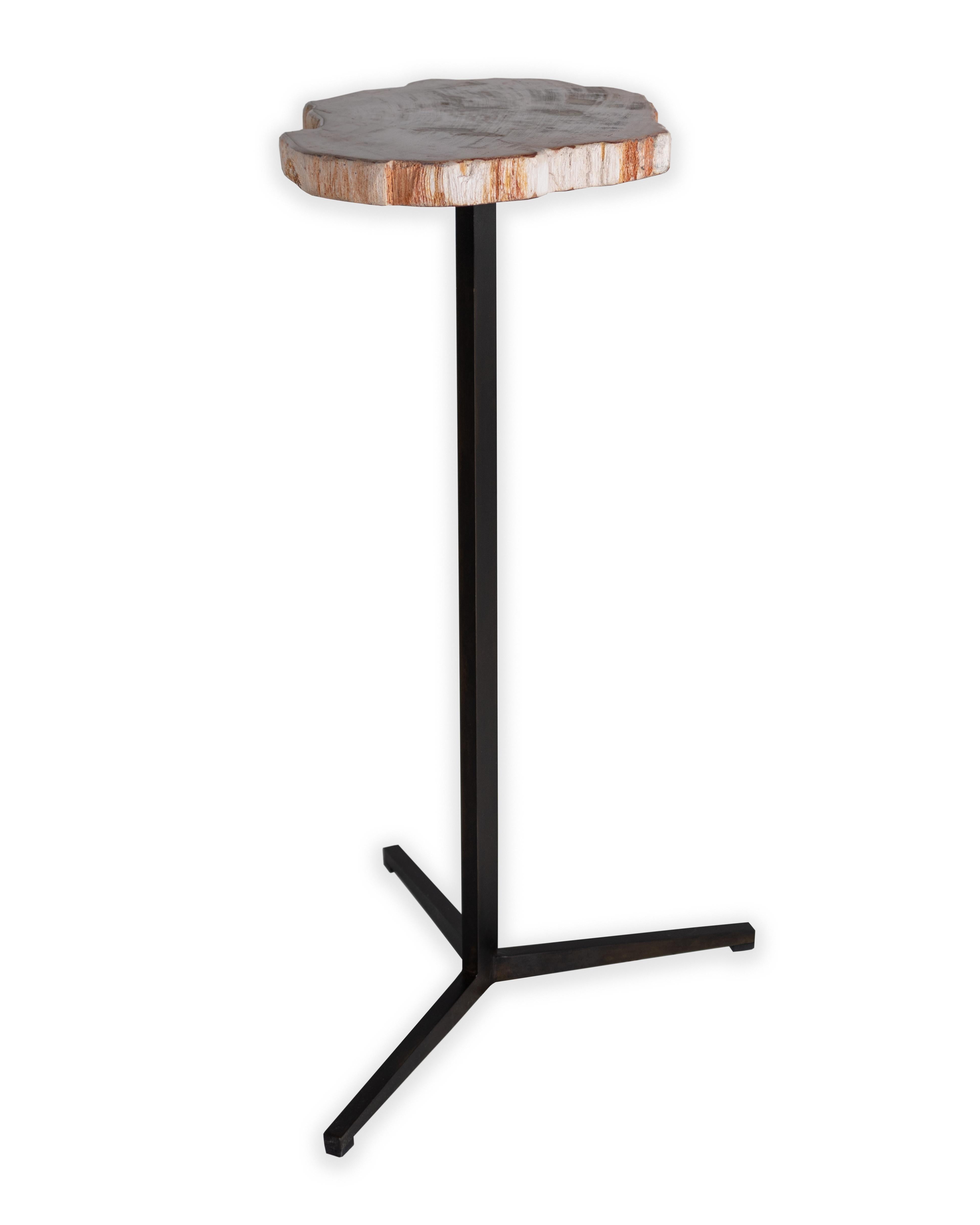 Organic Modern Petrified Wood Pedestal Side Table