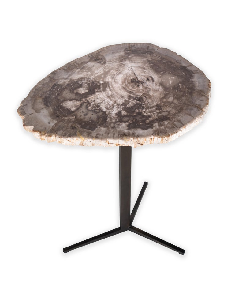 Organic Modern Petrified Wood Pedestal Side Table For Sale