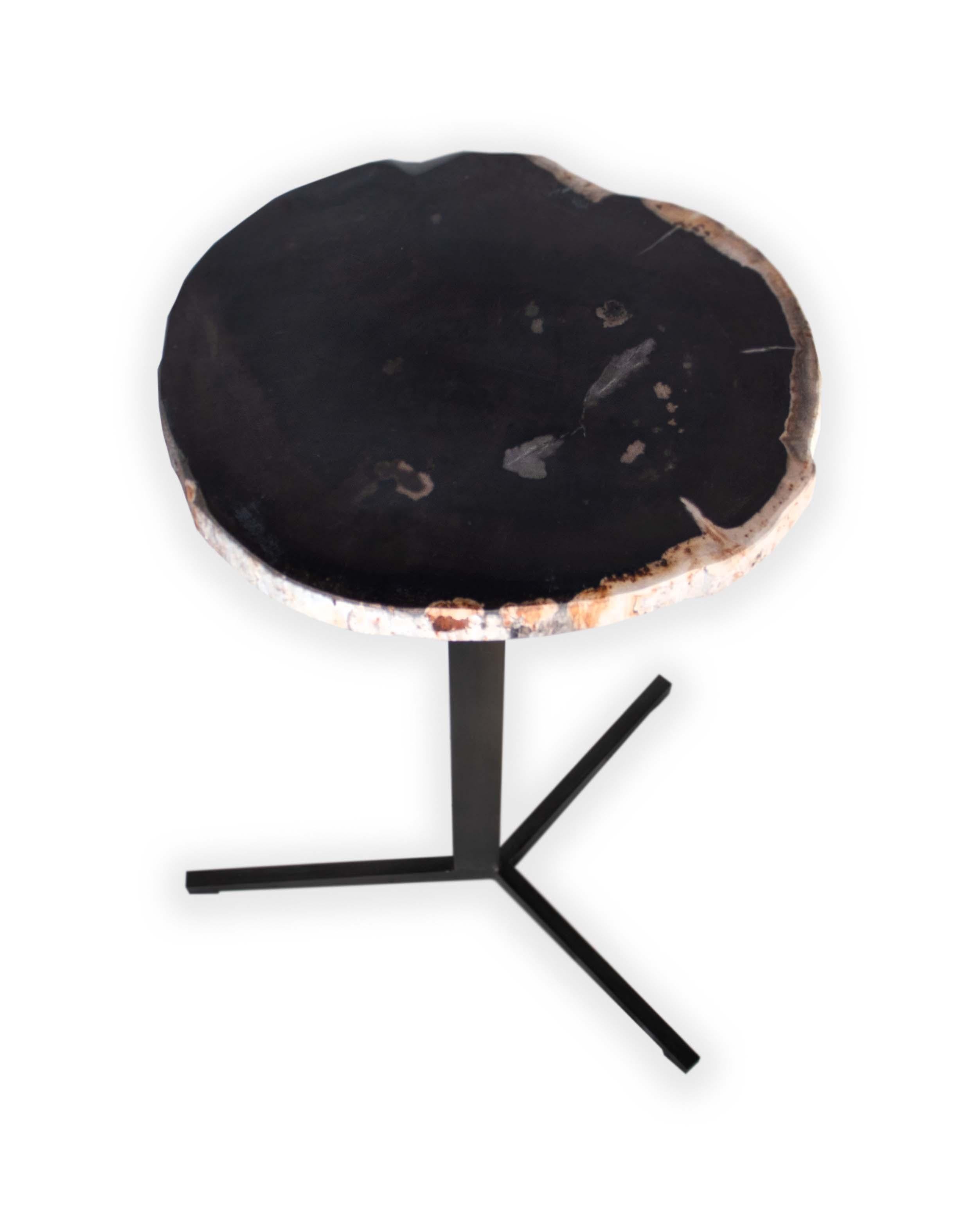 Organic Modern Petrified Wood Pedestal Side Table For Sale