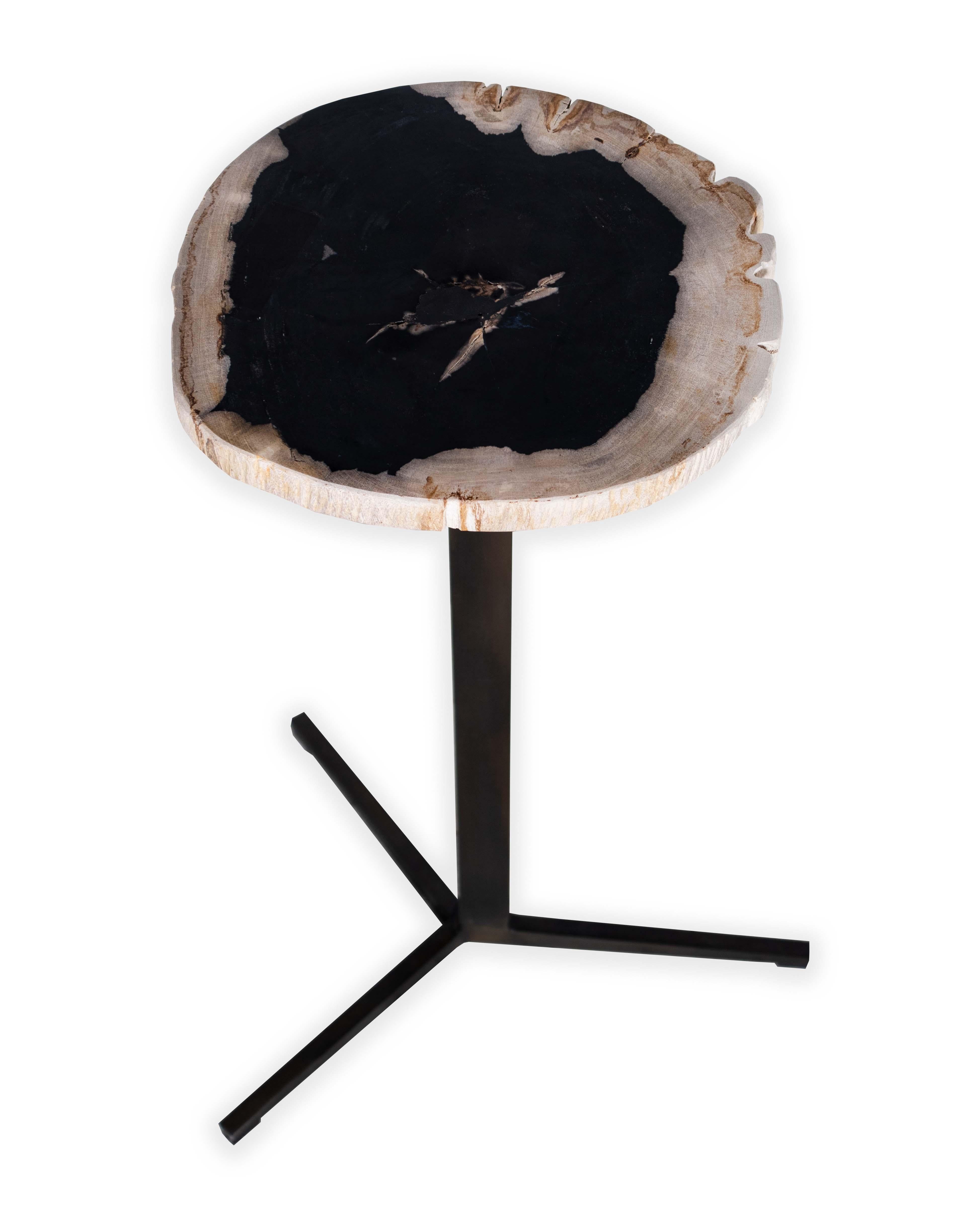 Organic Modern Petrified Wood Pedestal Side Table