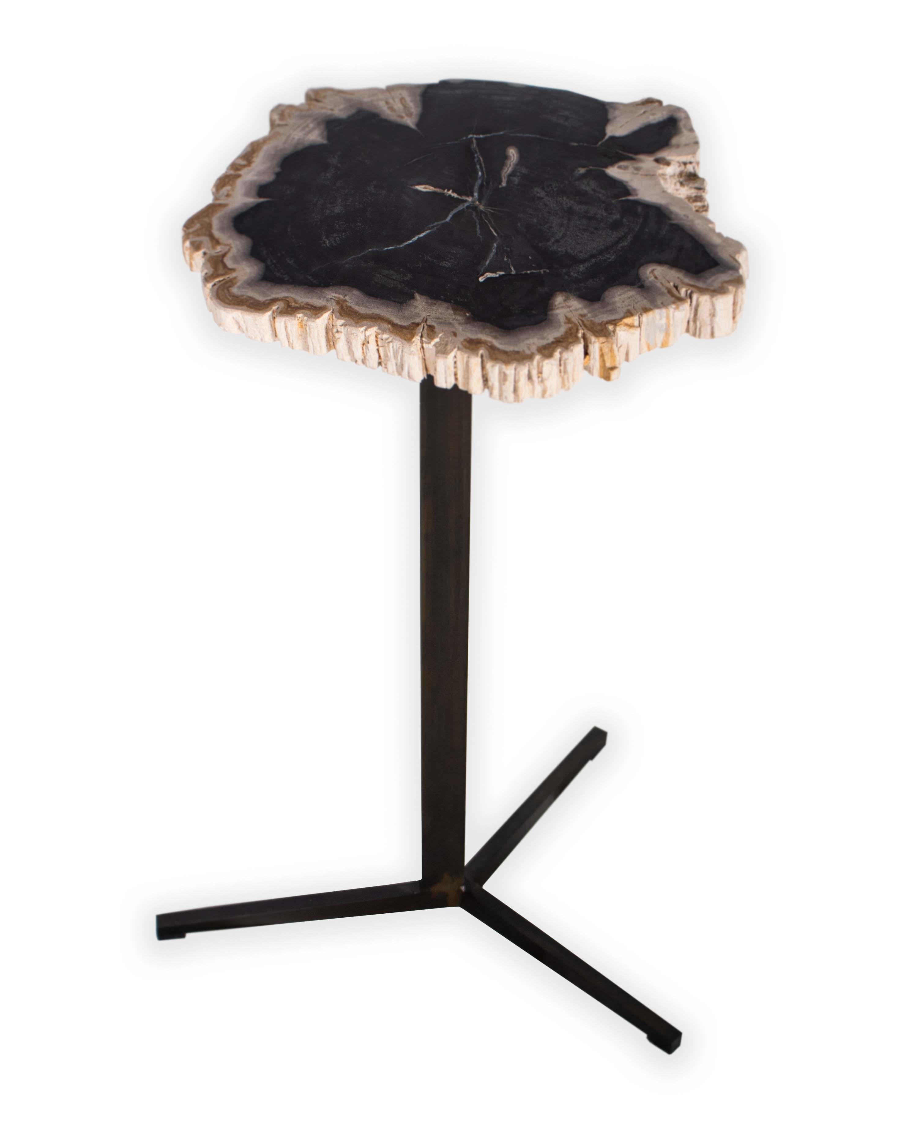 Organic Modern Petrified Wood Pedestal Side Table