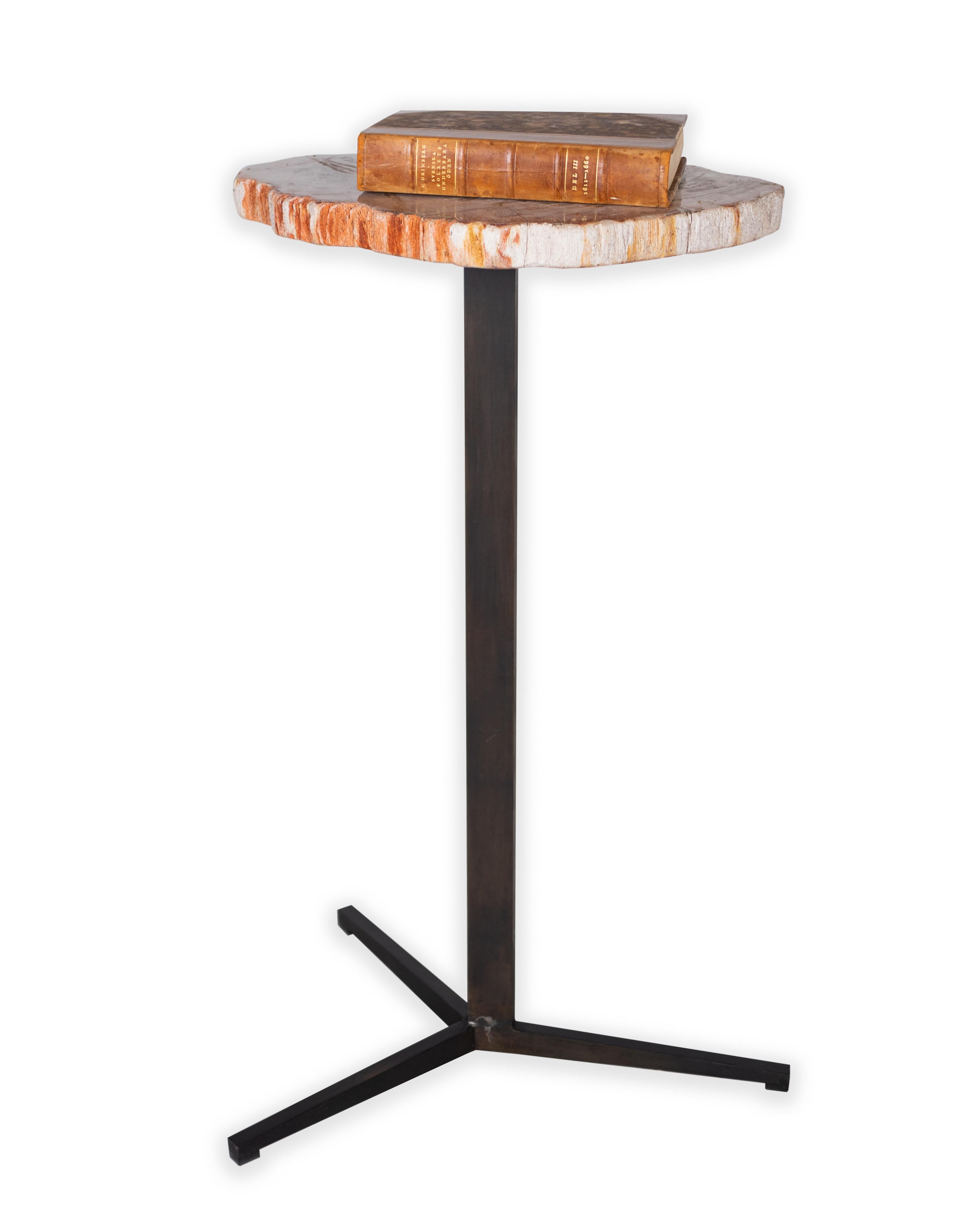 European Petrified Wood Pedestal Side Table