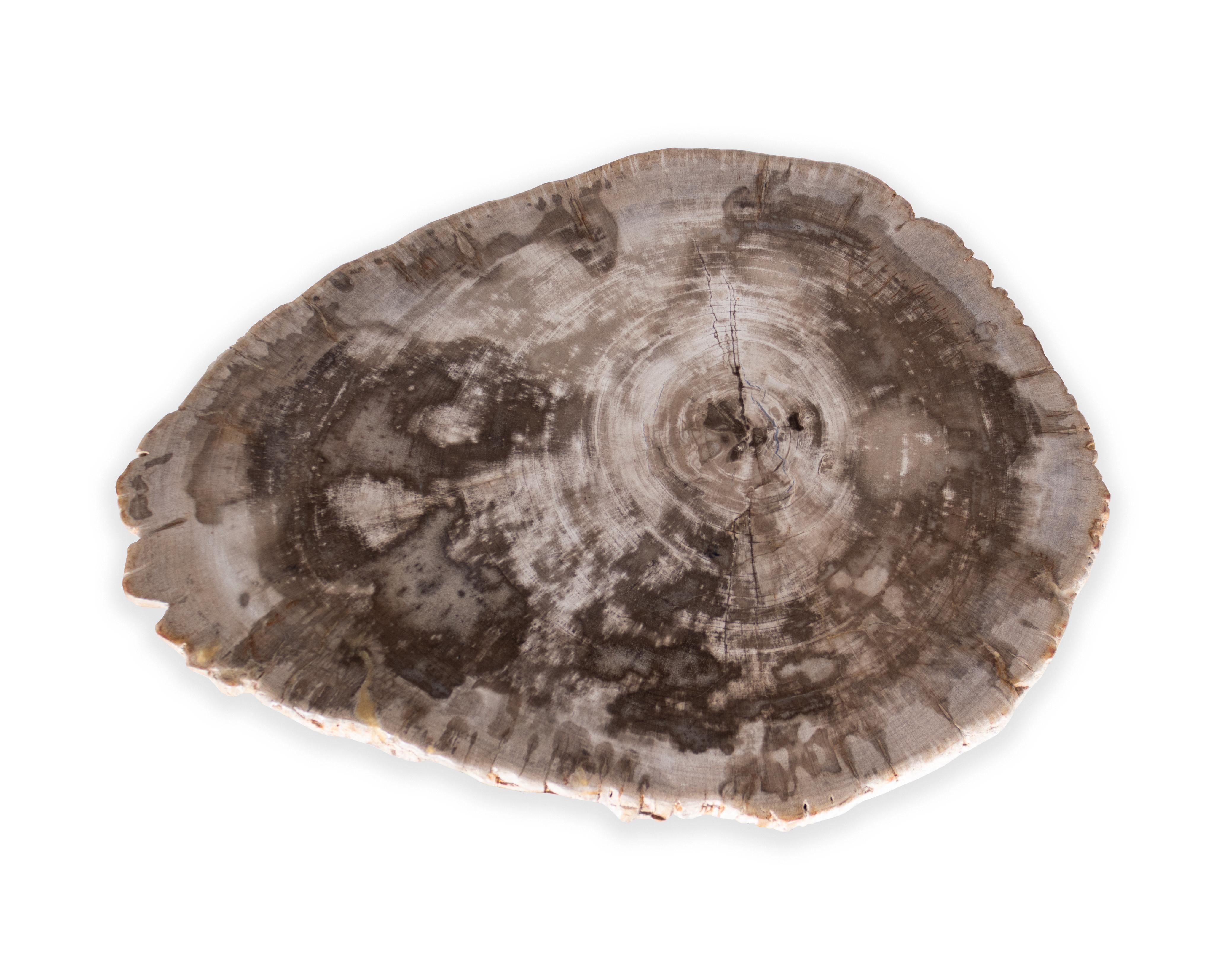 European Petrified Wood Pedestal Side Table