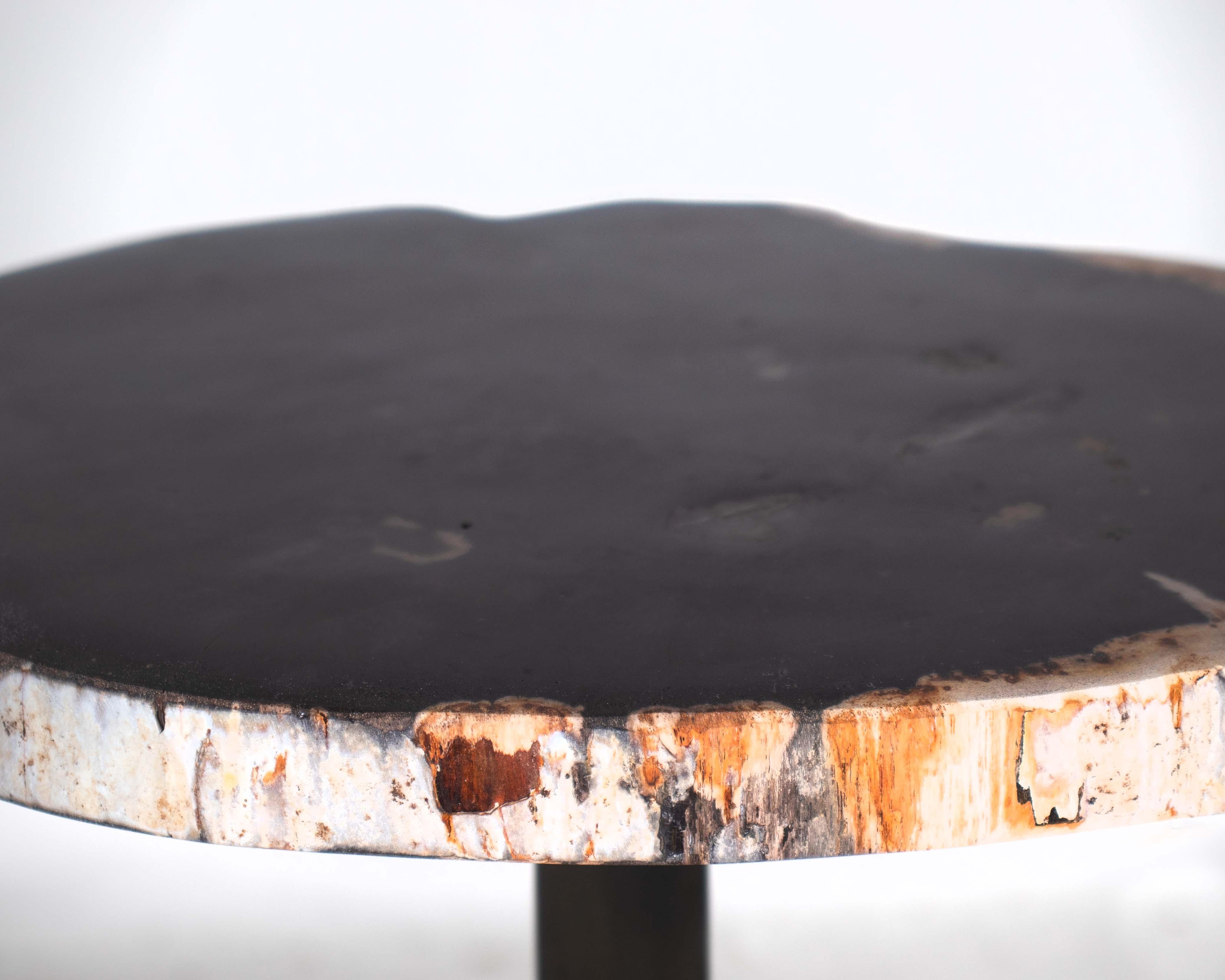 European Petrified Wood Pedestal Side Table For Sale