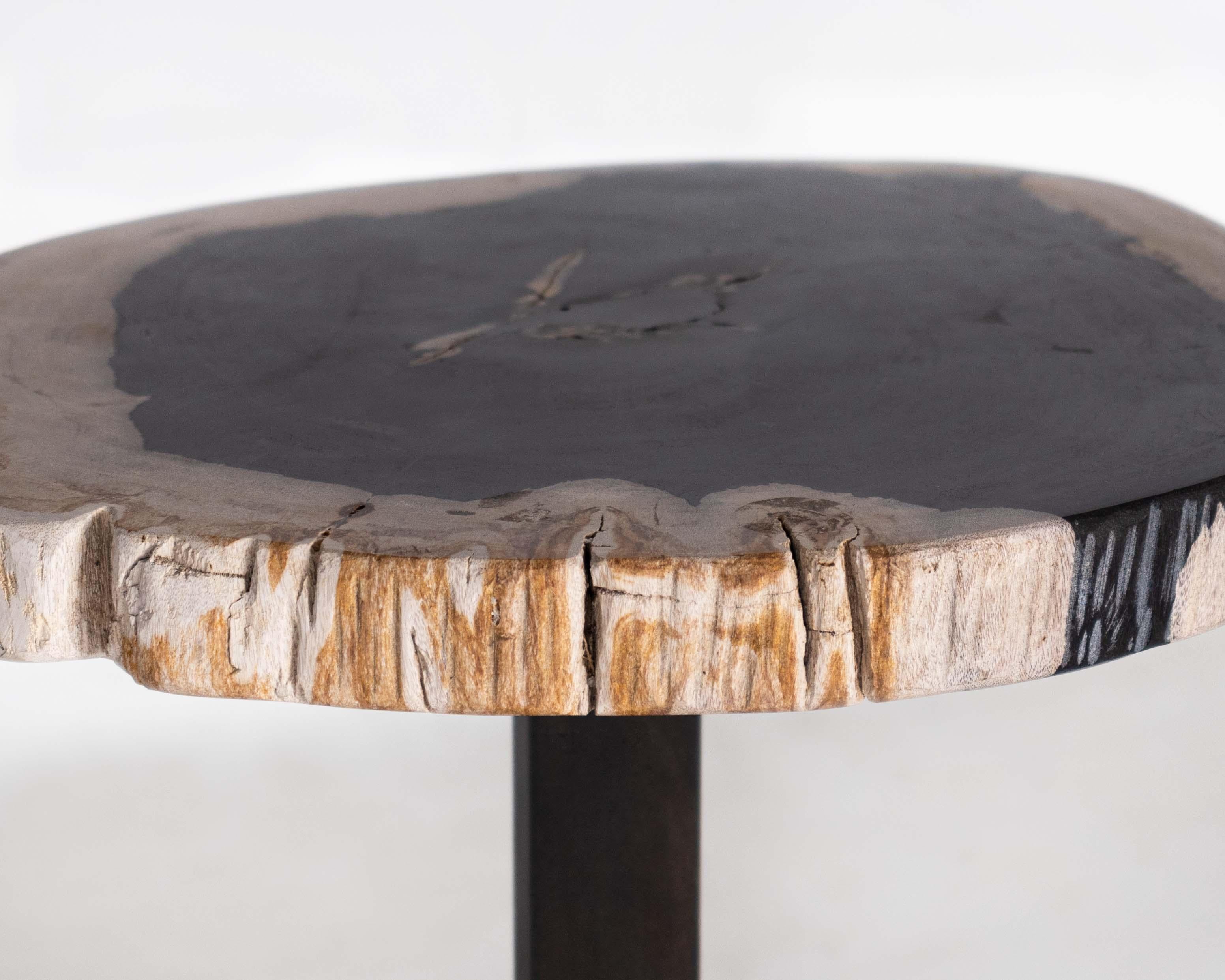 European Petrified Wood Pedestal Side Table