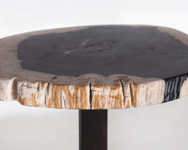 European Petrified Wood Pedestal Side Table For Sale