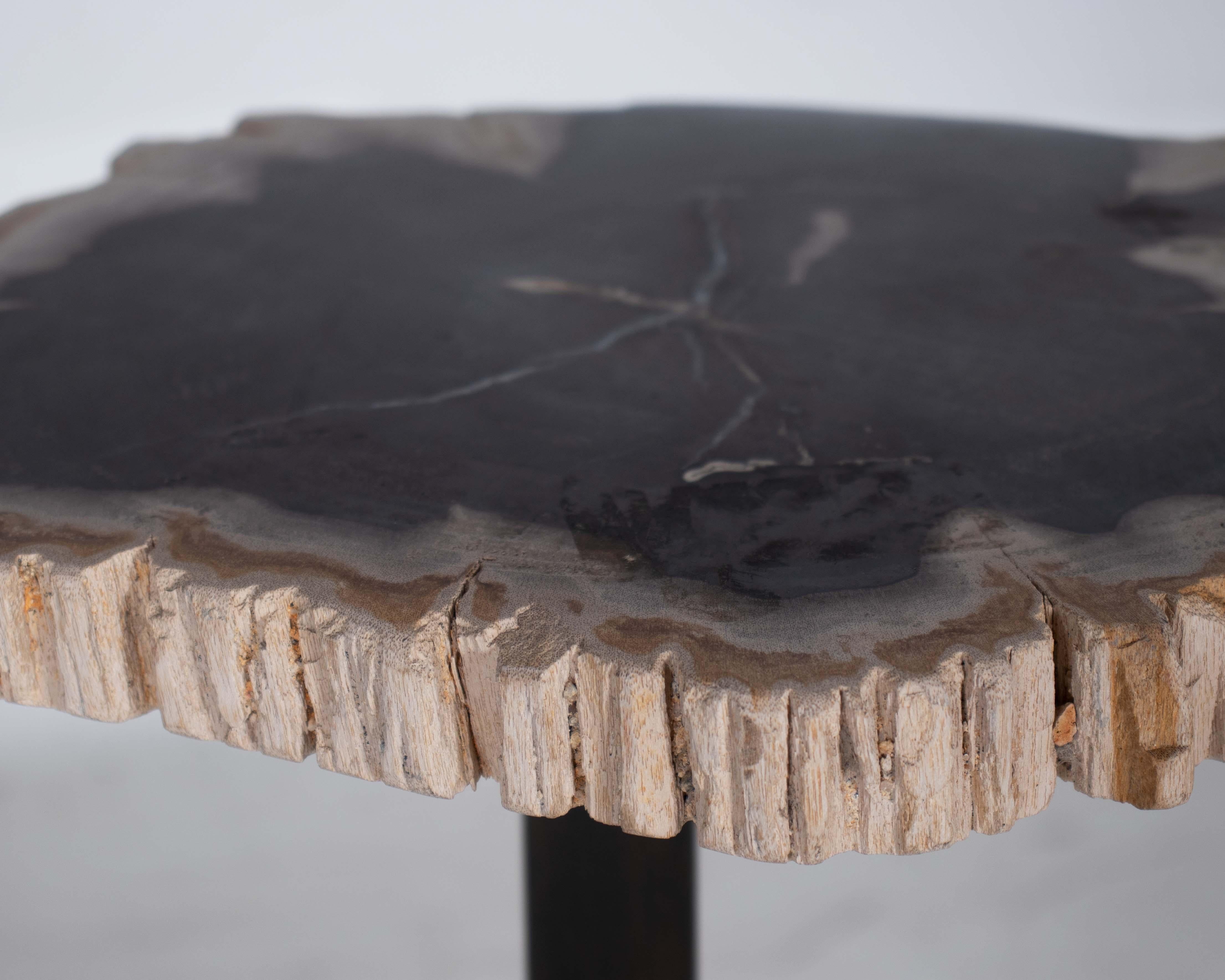 European Petrified Wood Pedestal Side Table