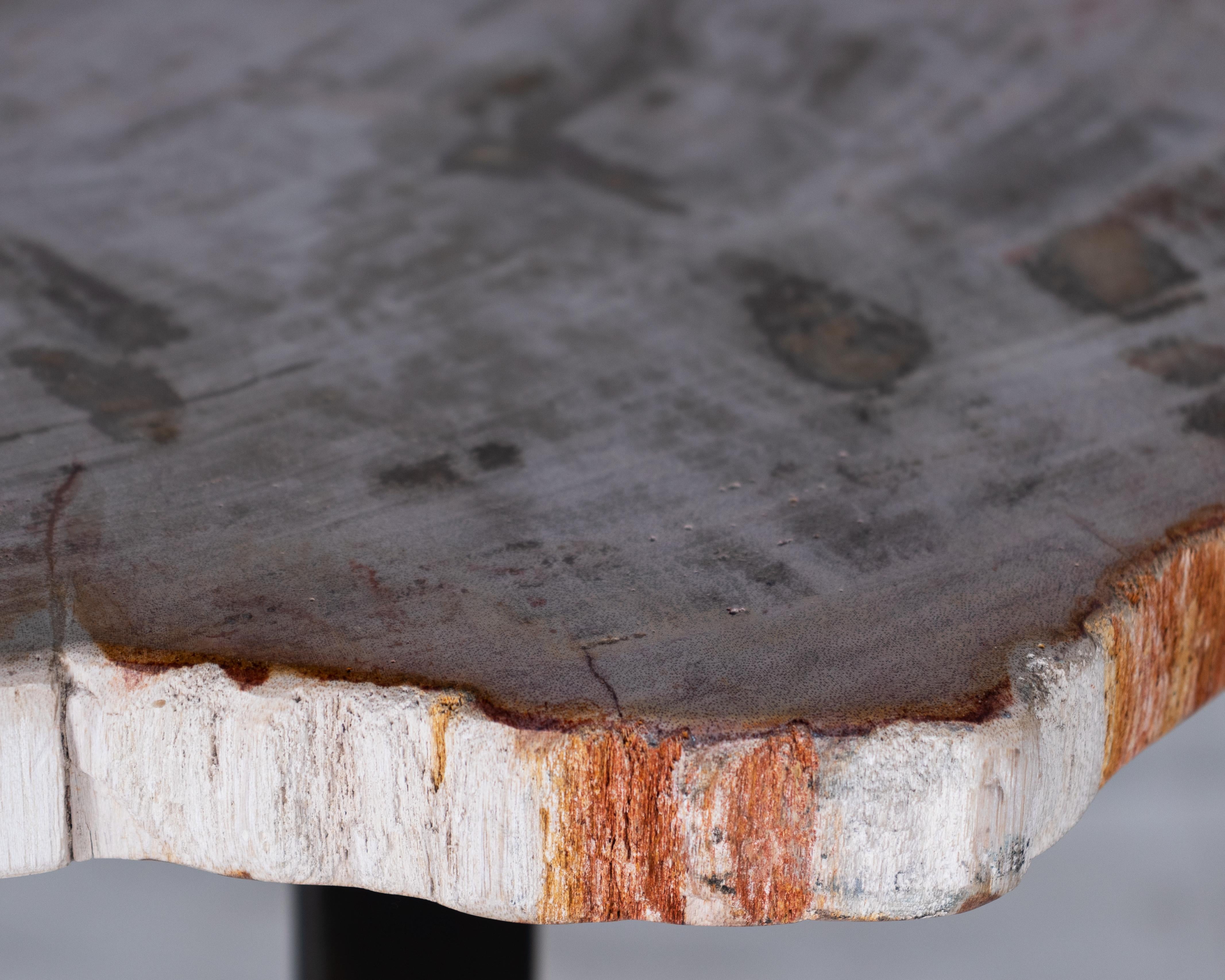 Petrified Wood Pedestal Side Table In Good Condition In Dallas, TX