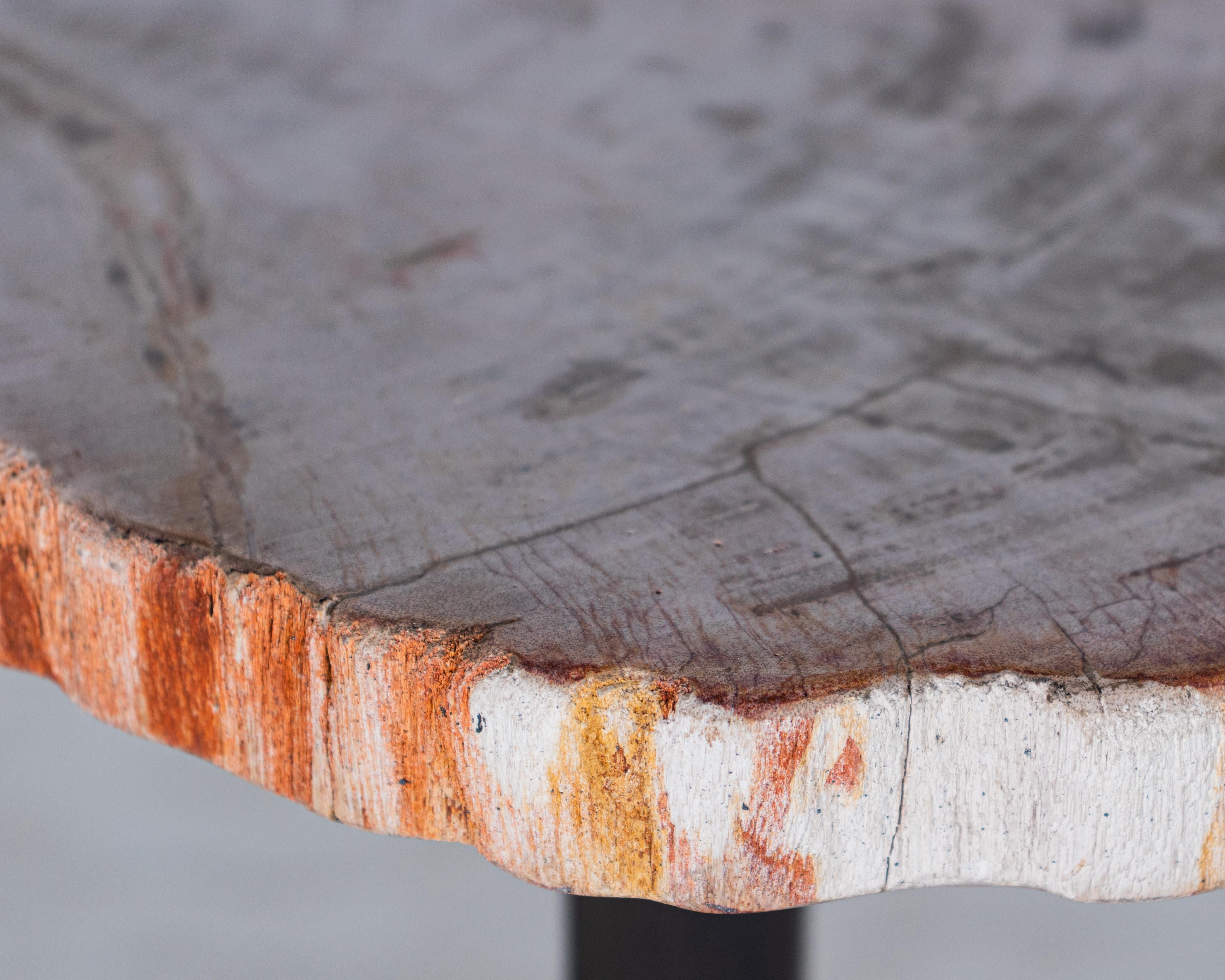 Petrified Wood Pedestal Side Table In Good Condition In Dallas, TX