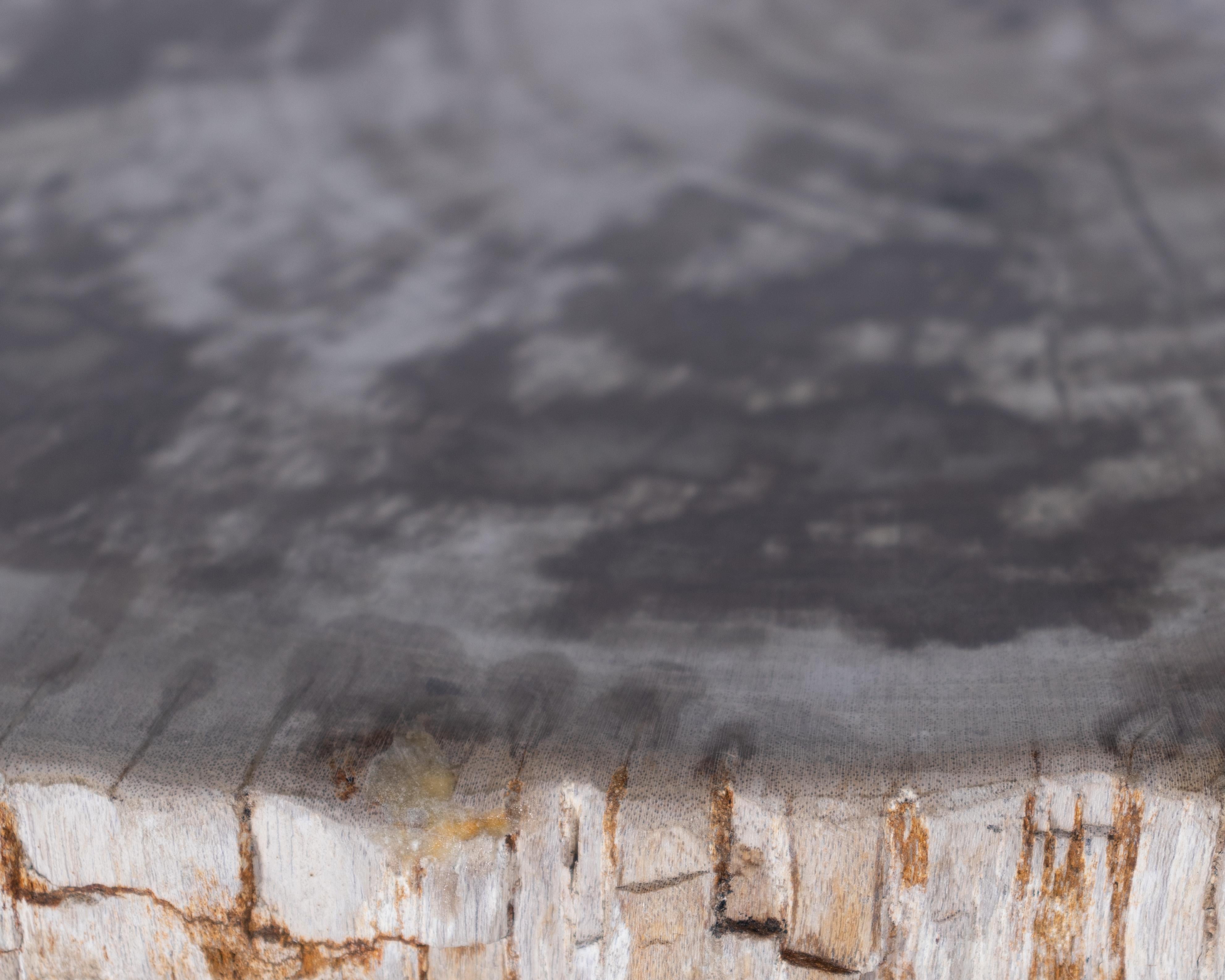 Petrified Wood Pedestal Side Table In Good Condition In Dallas, TX