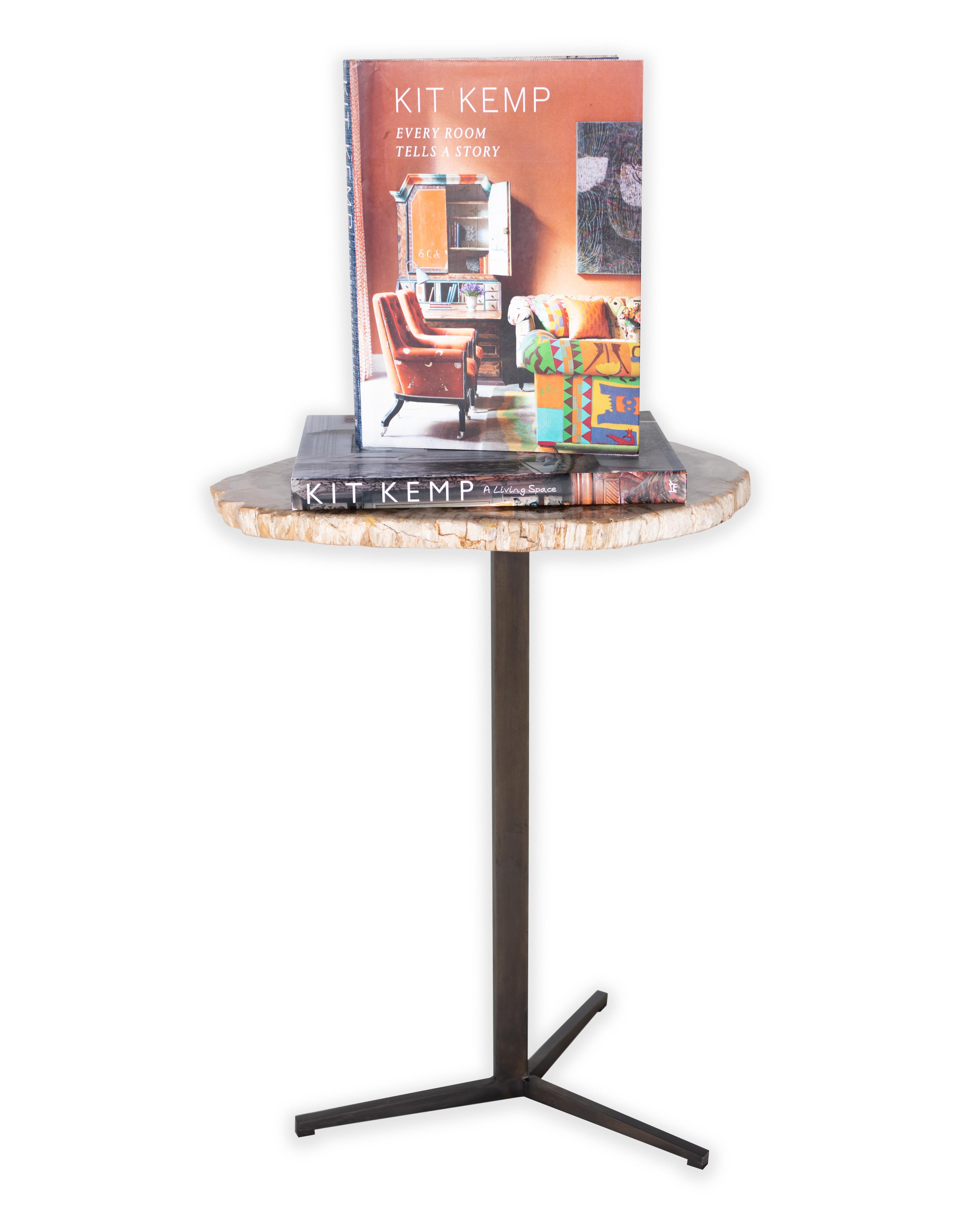 Contemporary Petrified Wood Pedestal Side Table