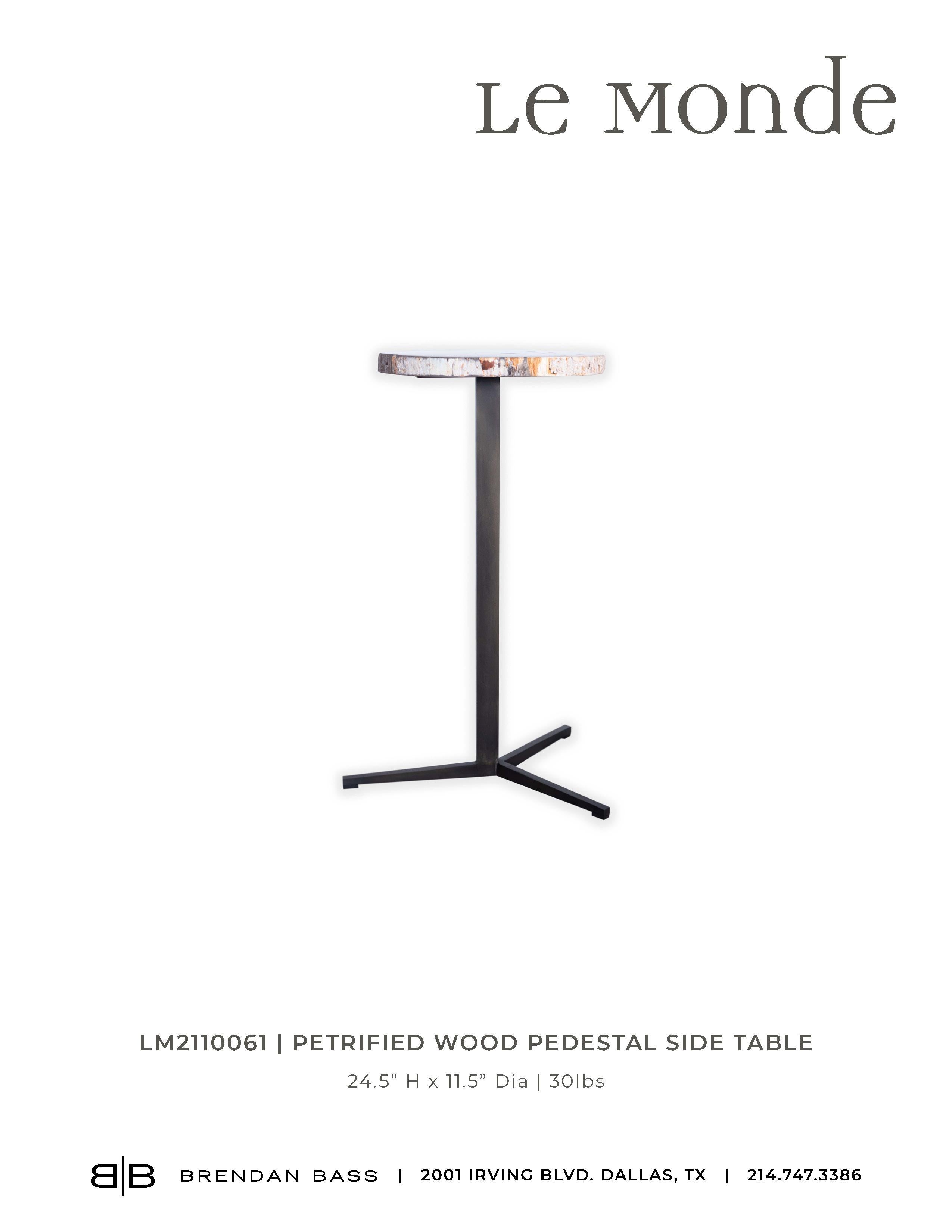 Contemporary Petrified Wood Pedestal Side Table
