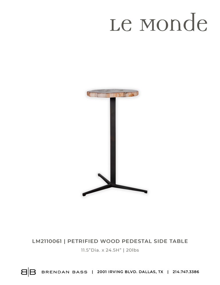 Contemporary Petrified Wood Pedestal Side Table For Sale