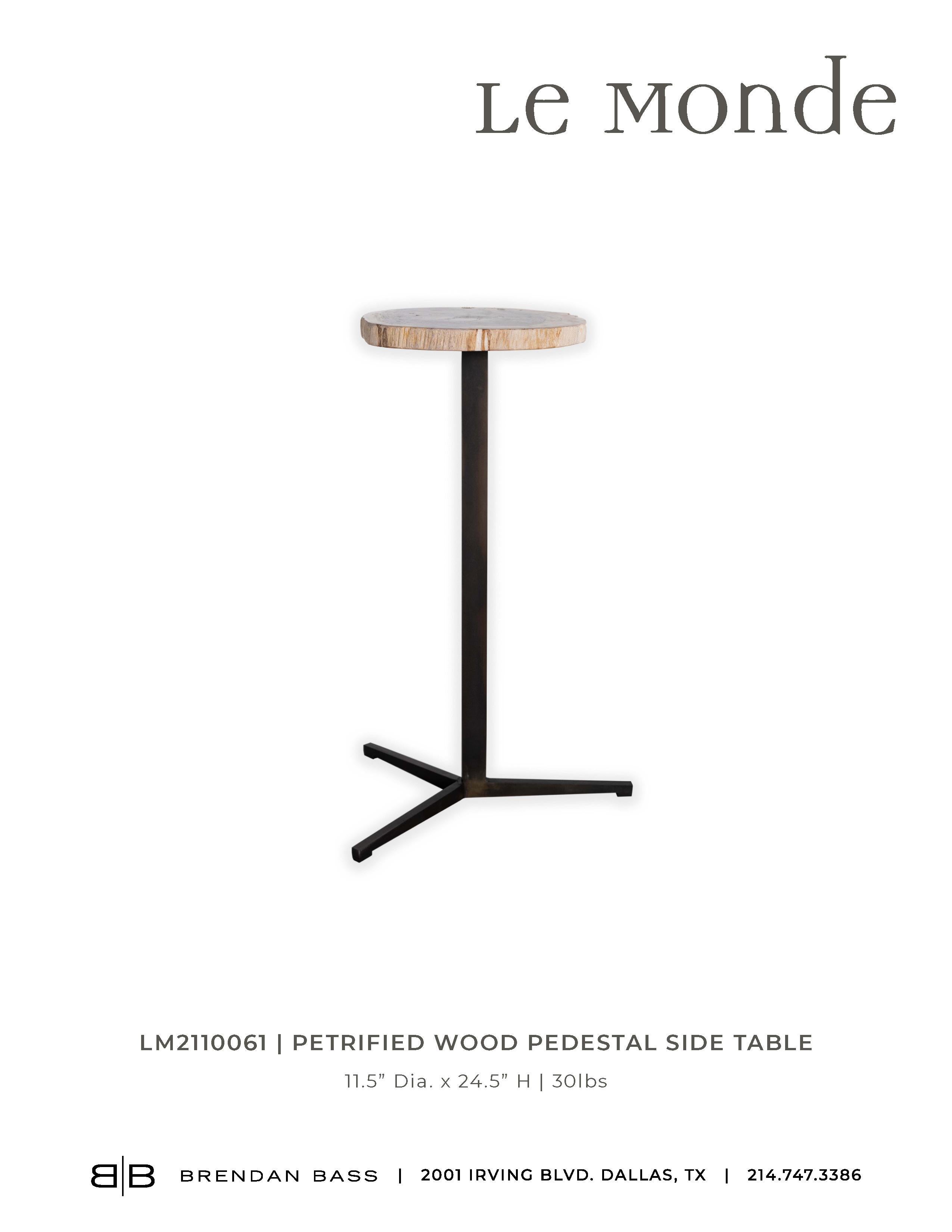 Contemporary Petrified Wood Pedestal Side Table