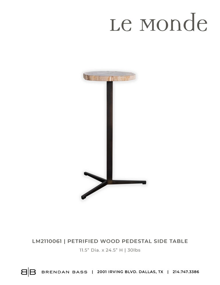 Contemporary Petrified Wood Pedestal Side Table For Sale