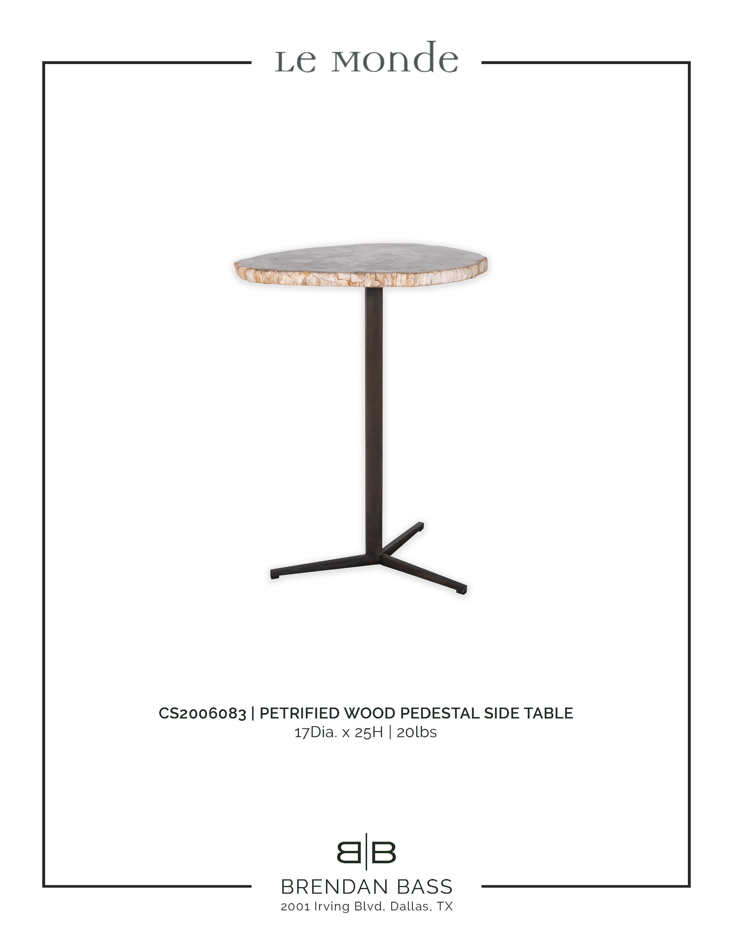 Steel Petrified Wood Pedestal Side Table