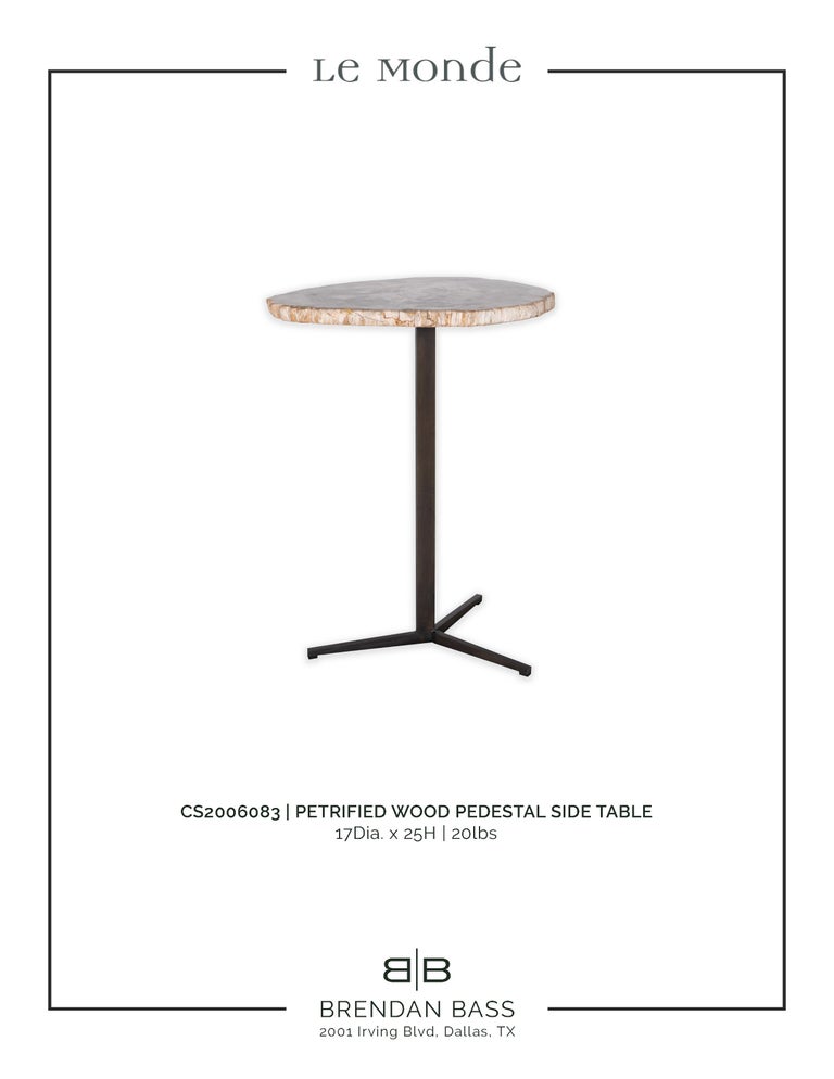Steel Petrified Wood Pedestal Side Table For Sale