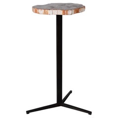 Petrified Wood Pedestal Side Table