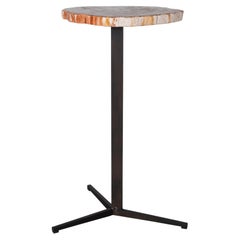 Petrified Wood Pedestal Side Table