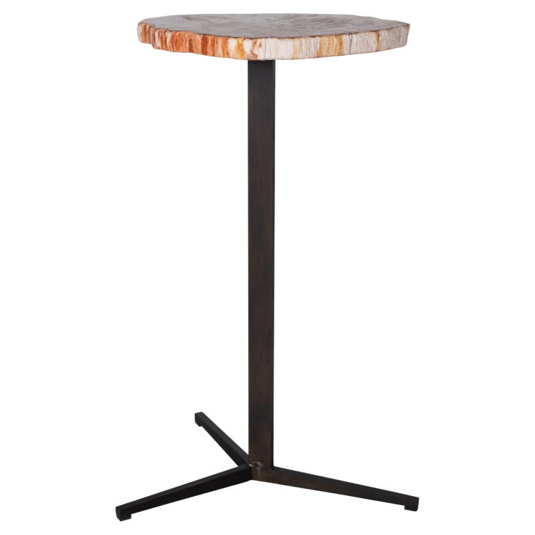Petrified Wood Pedestal Side Table