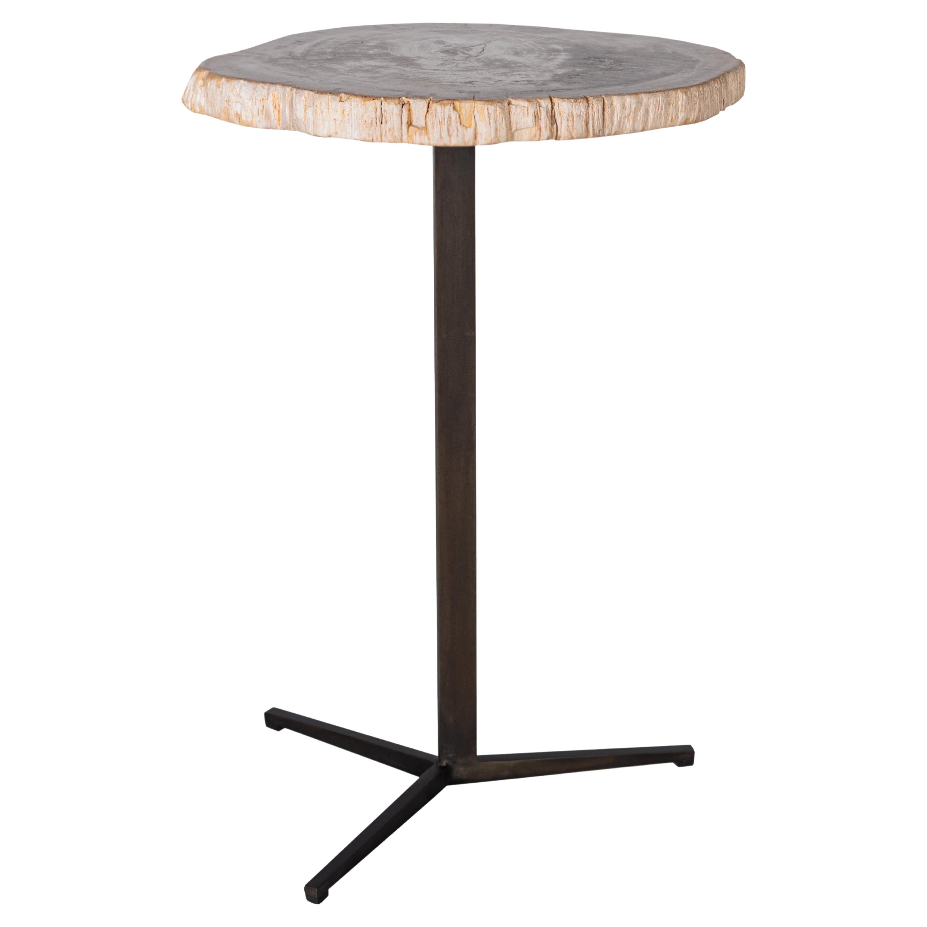 Petrified Wood Side / End Table at 1stDibs