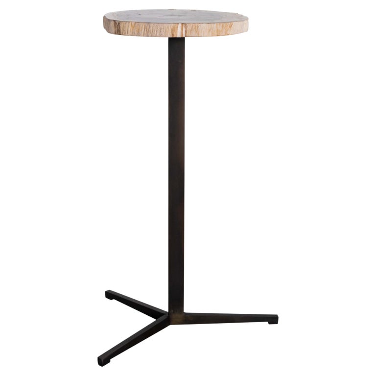 Petrified Wood Pedestal Side Table For Sale