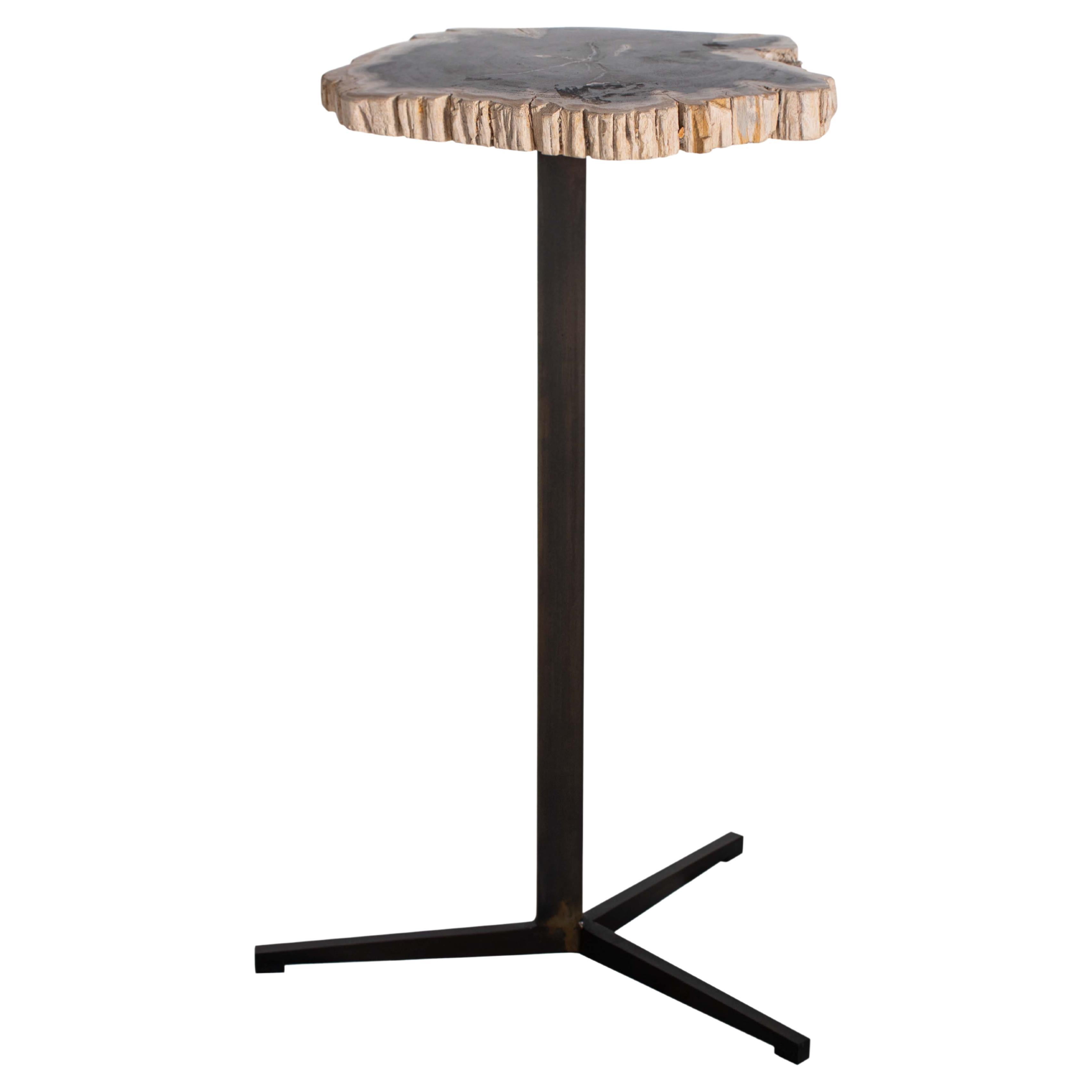 Petrified Wood Pedestal Side Table