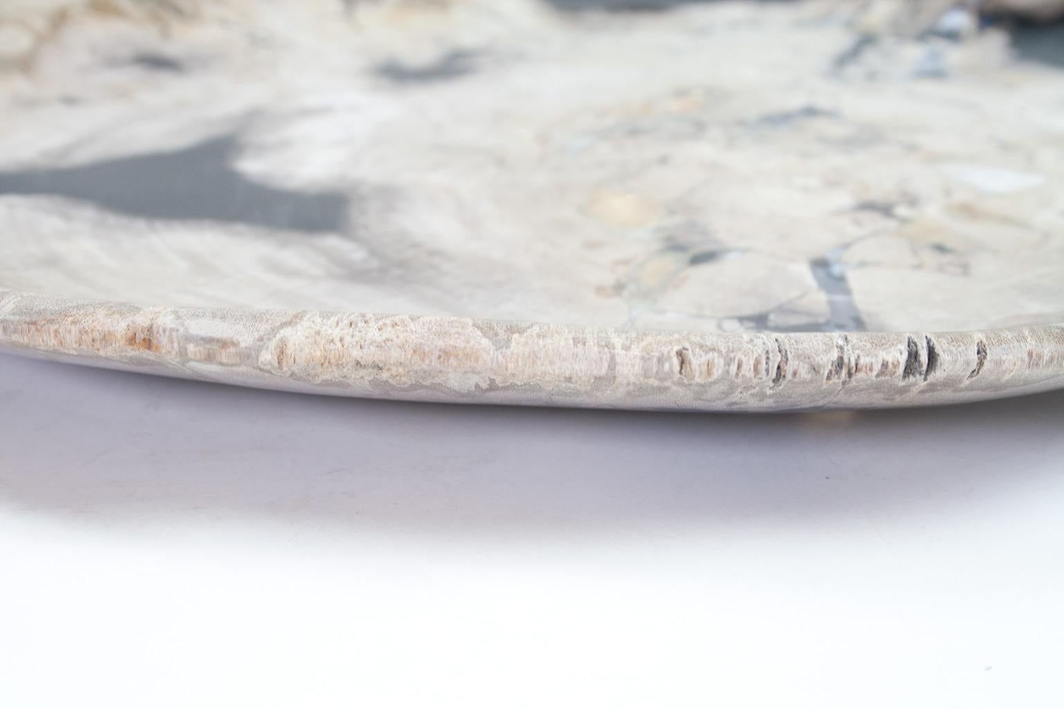 Petrified Wood Plate, Platter or Flat Tray, Home Accessory of Organic Origin 1