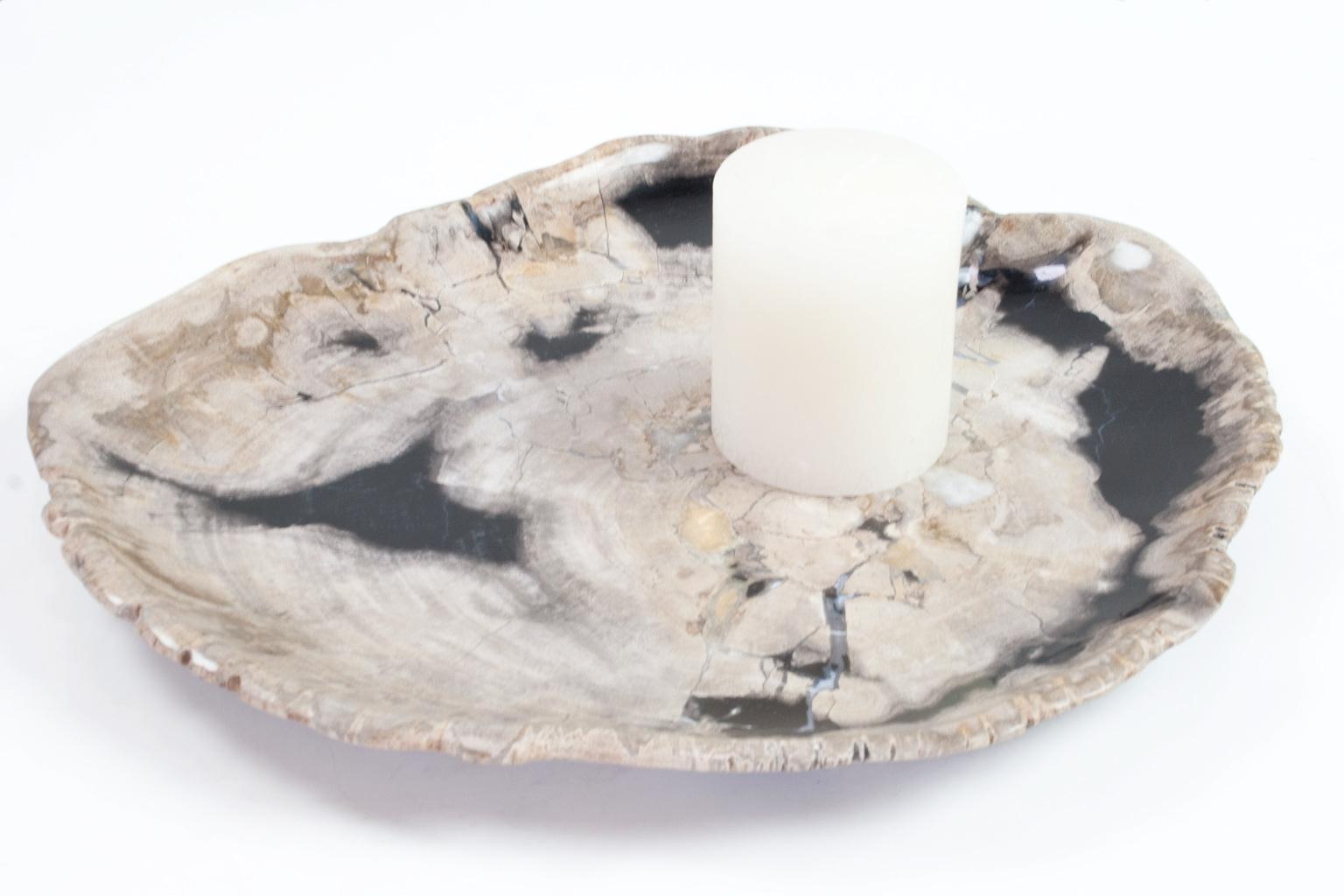 petrified wood tray