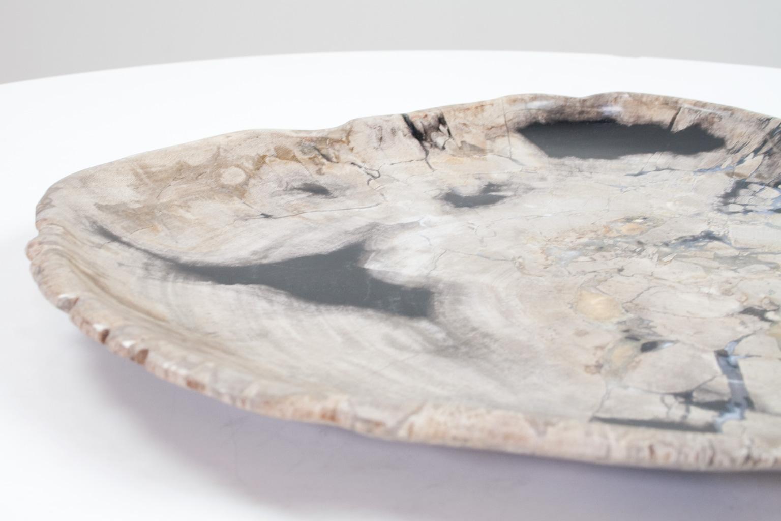 Organic Modern Petrified Wood Plate, Platter or Flat Tray, Home Accessory of Organic Origin