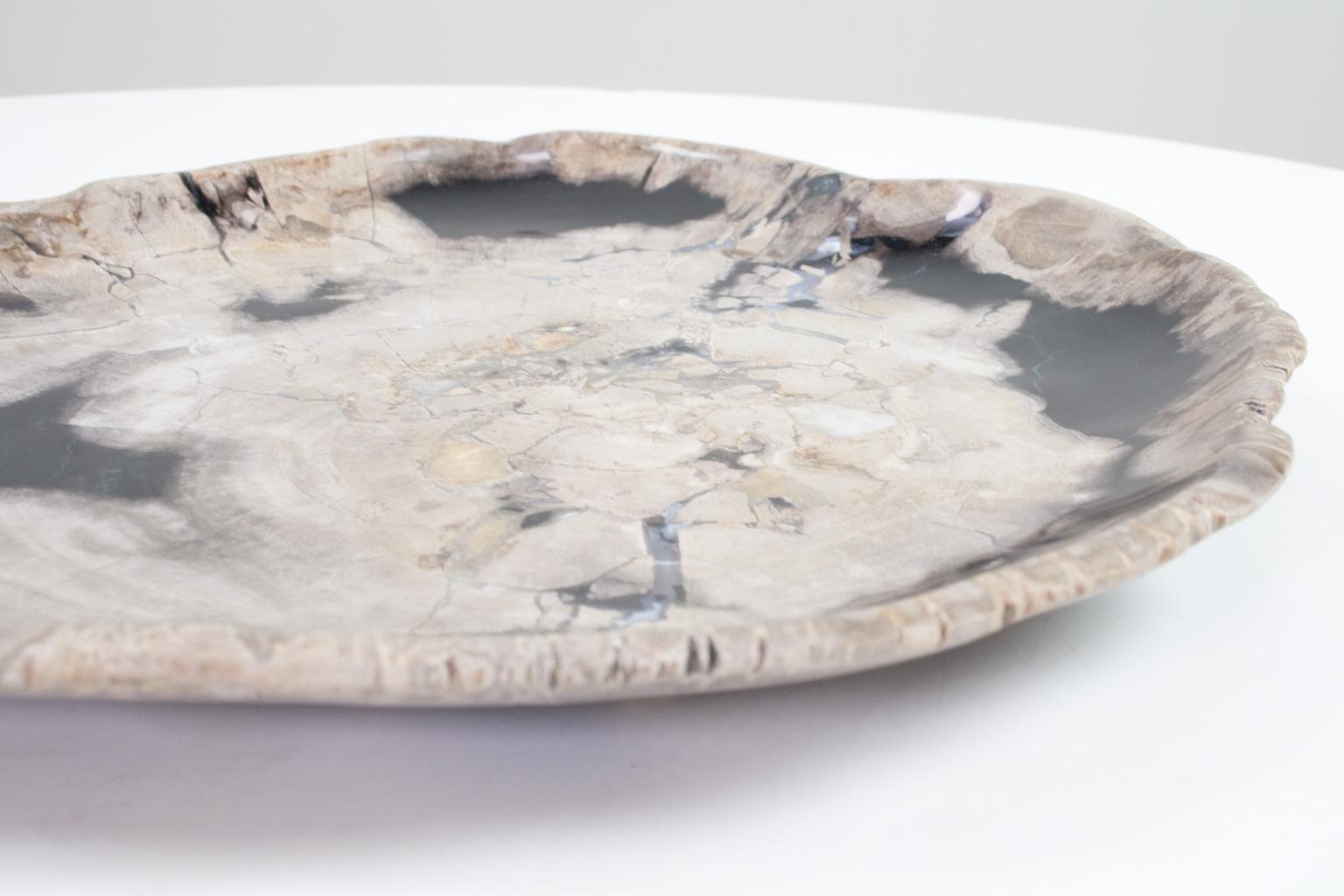Indonesian Petrified Wood Plate, Platter or Flat Tray, Home Accessory of Organic Origin