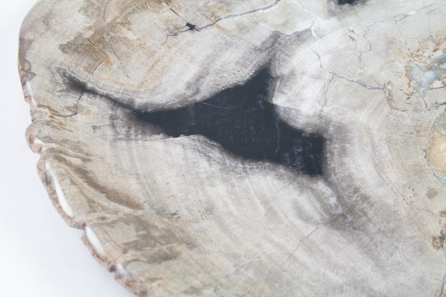 18th Century and Earlier Petrified Wood Plate, Platter or Flat Tray, Home Accessory of Organic Origin