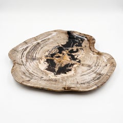 Vassoio in legno pietrificato da 16"