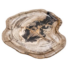 Vassoio in legno pietrificato da 16"