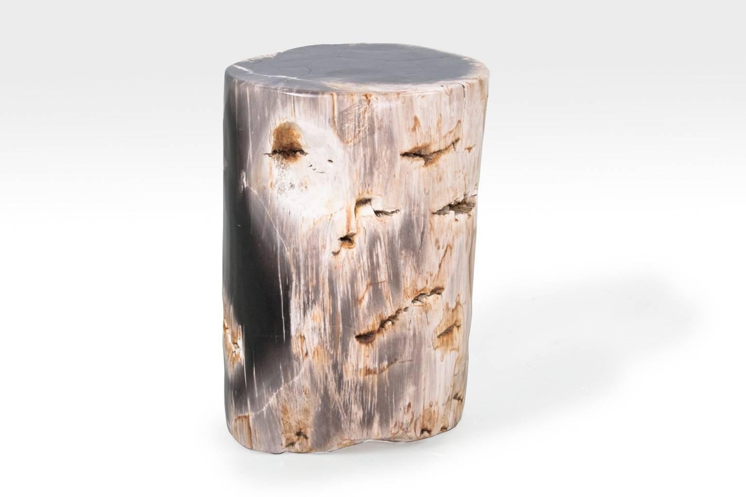 Hand picked petrified wood side table or pedestal. Smooth sanded an polished. The object still holds the organic and typically wooden tissue and carvings.  Due to item weight (31 kg), the piece will be shipped in a small crate.

Petrified wood is