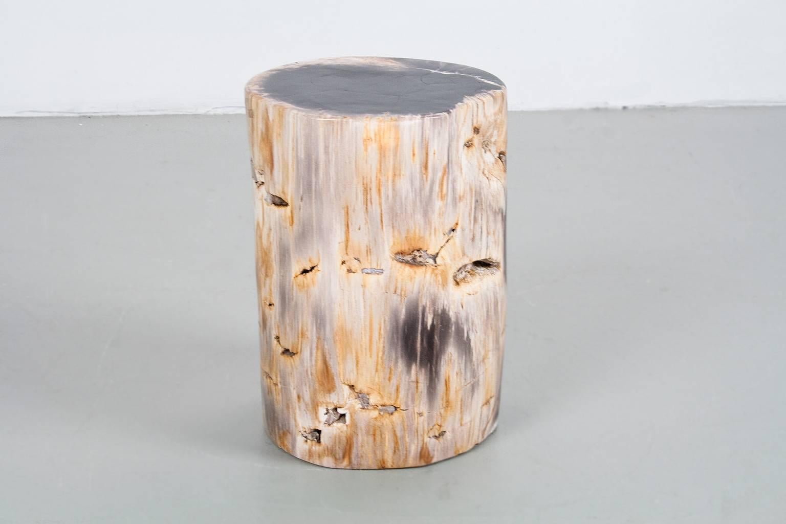 Organic Modern Petrified Wood Polished Side Table or Pedestal of High Quality